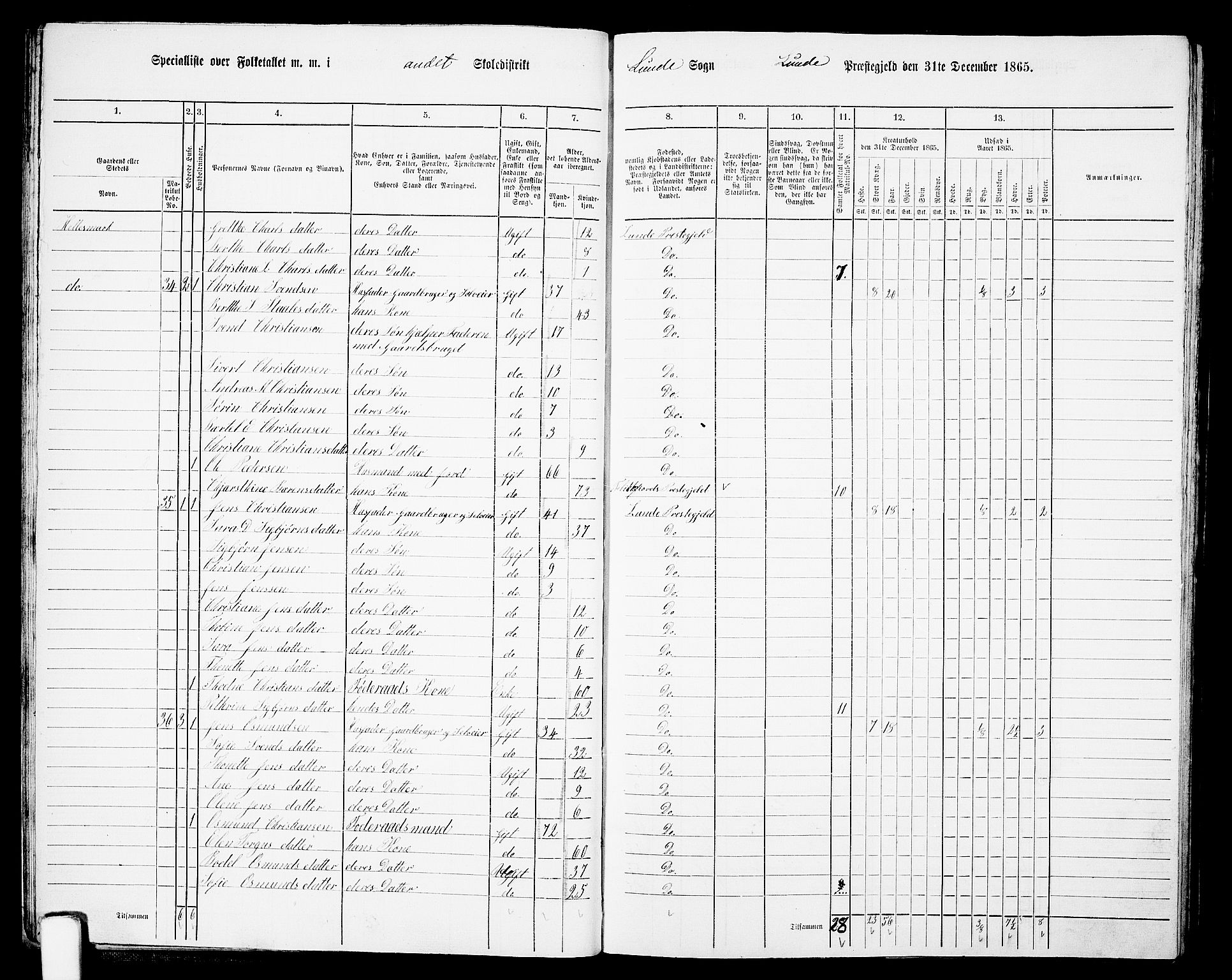 RA, 1865 census for Lund, 1865, p. 22