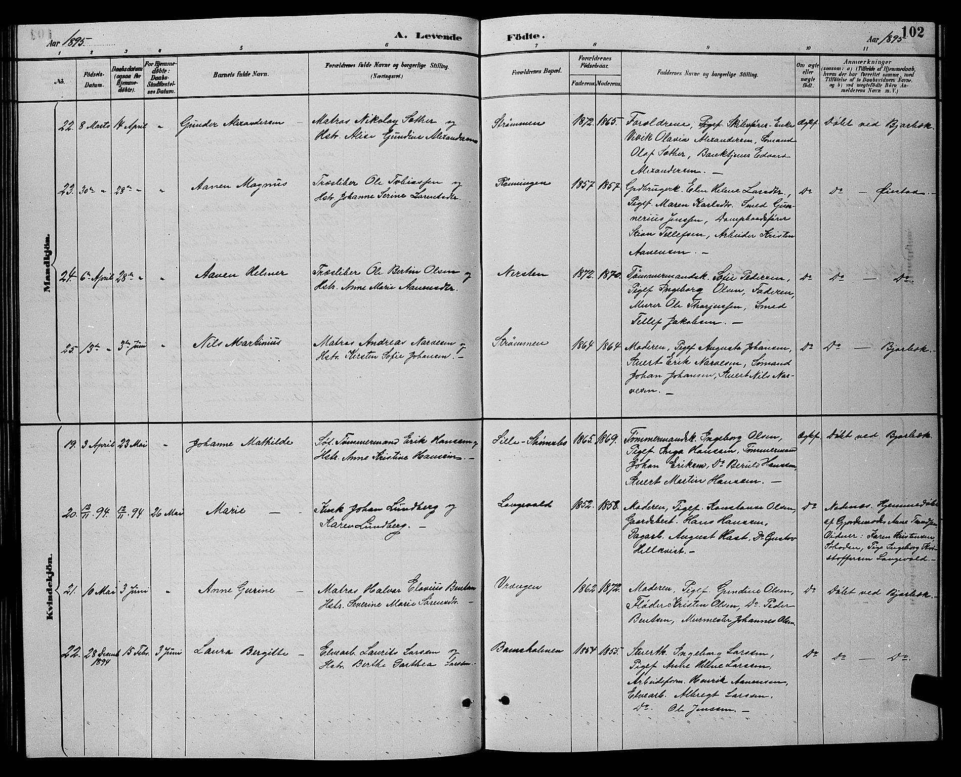 Øyestad sokneprestkontor, AV/SAK-1111-0049/F/Fb/L0009: Parish register (copy) no. B 9, 1886-1896, p. 102