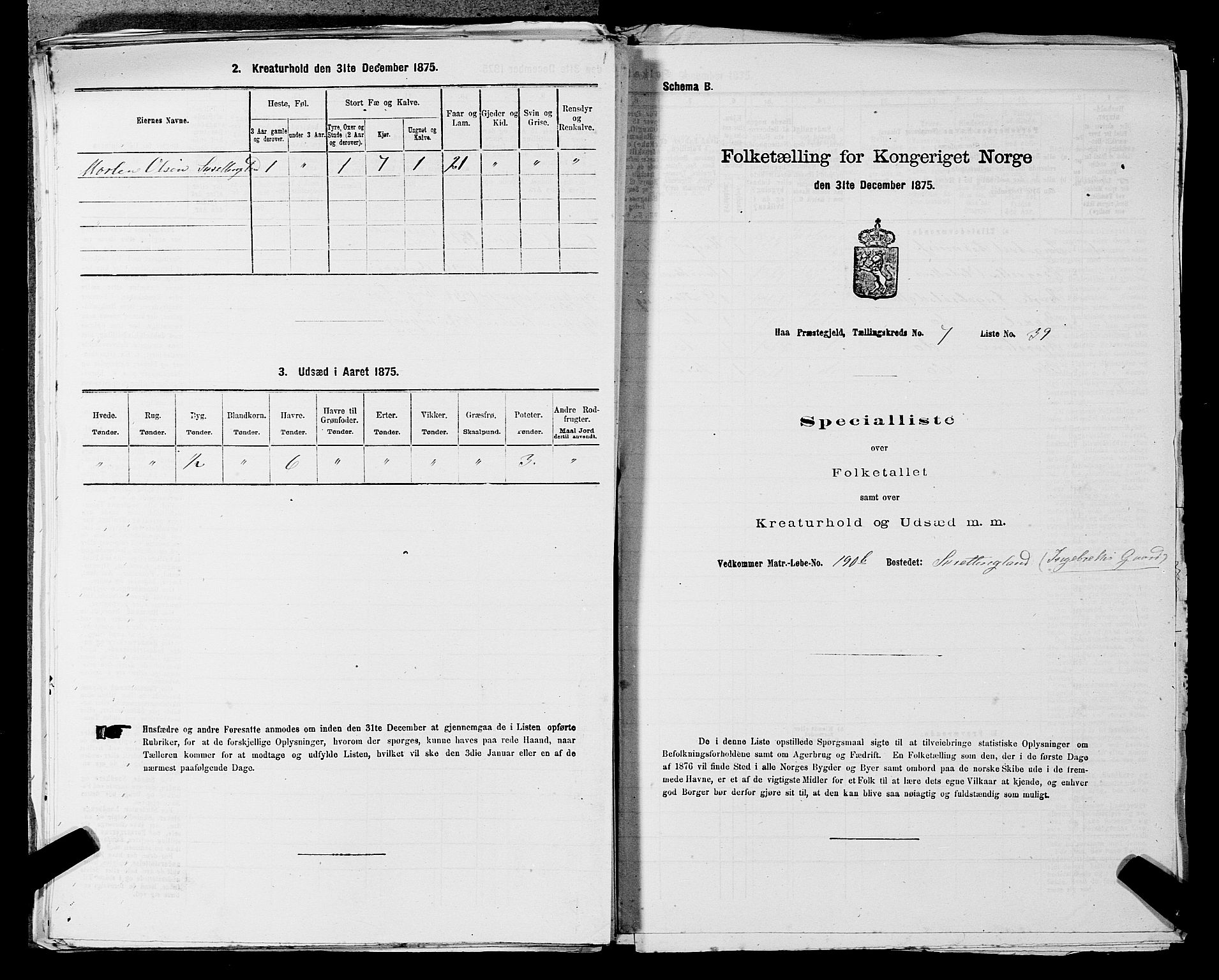 SAST, 1875 census for 1119P Hå, 1875, p. 802