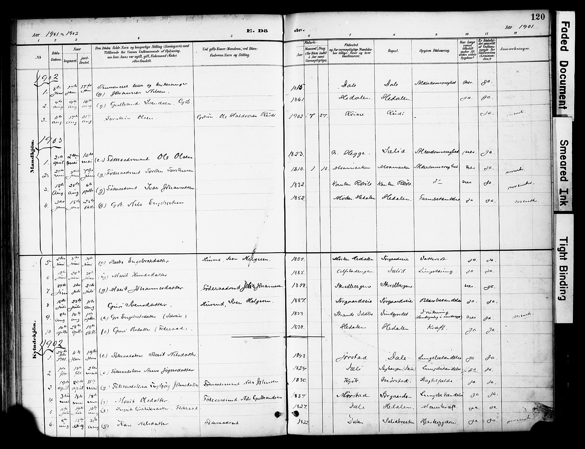 Øystre Slidre prestekontor, SAH/PREST-138/H/Ha/Haa/L0004: Parish register (official) no. 4, 1887-1910, p. 120