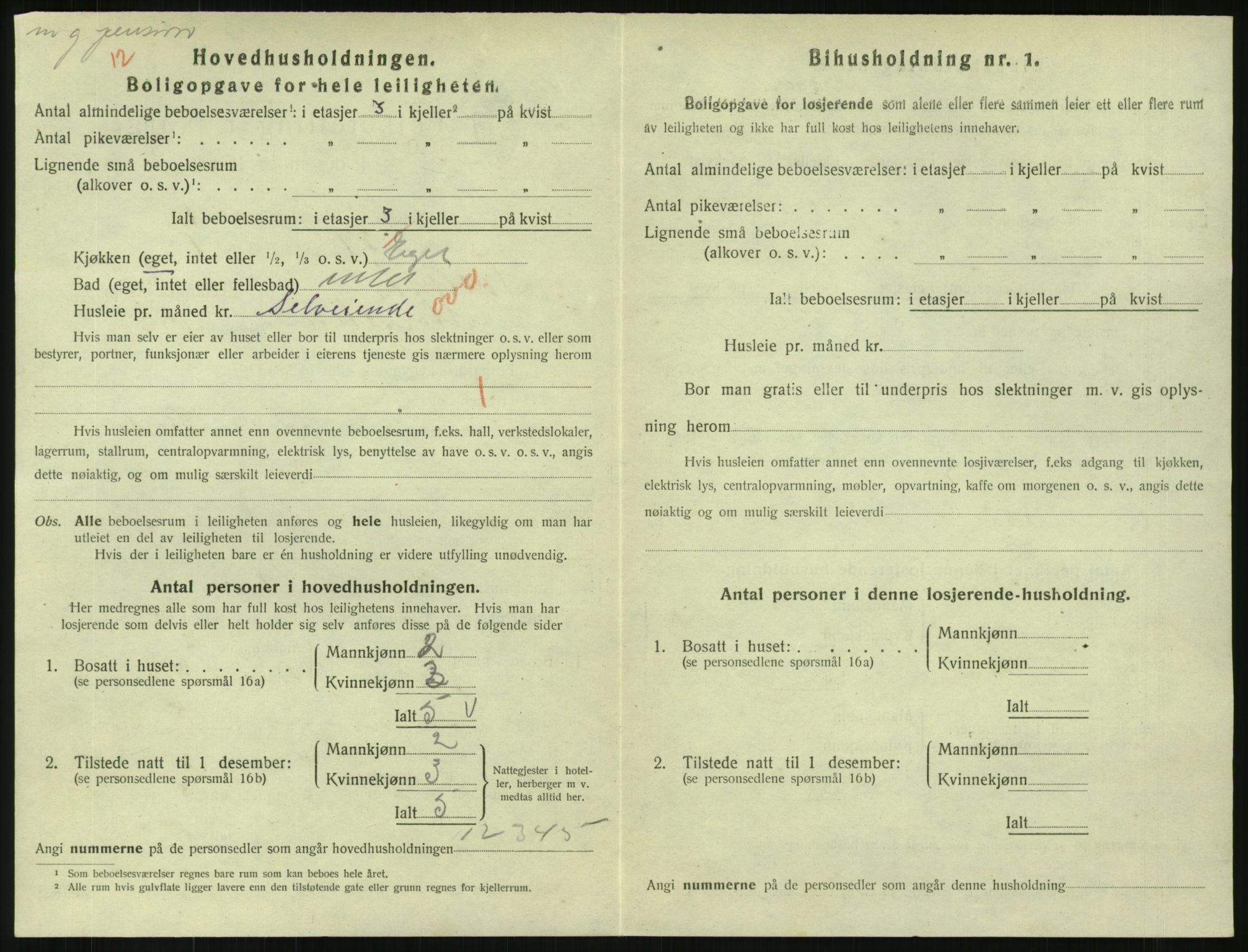 SAKO, 1920 census for Svelvik, 1920, p. 942