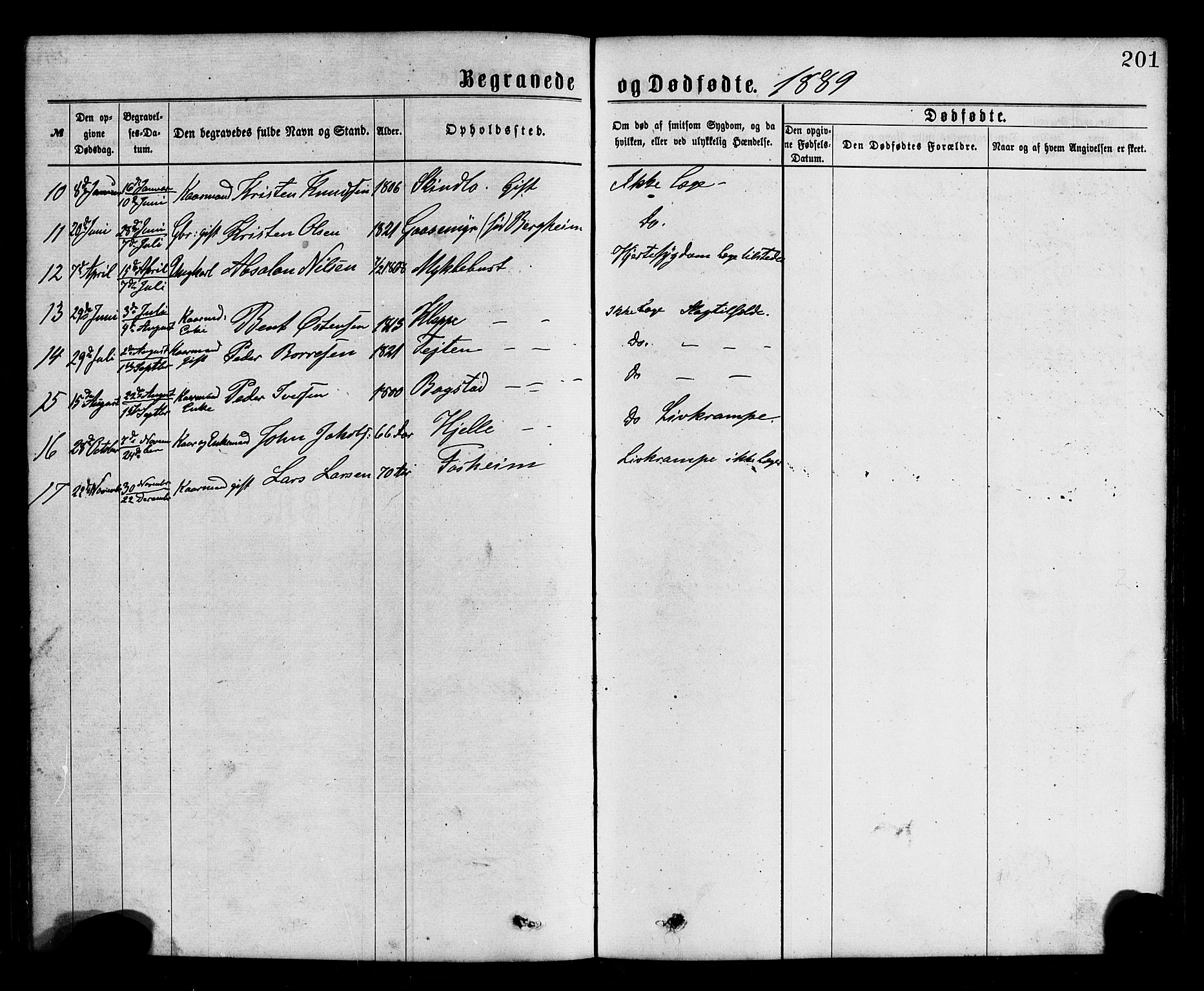 Gloppen sokneprestembete, SAB/A-80101/H/Hab/Habc/L0001: Parish register (copy) no. C 1, 1872-1896, p. 201