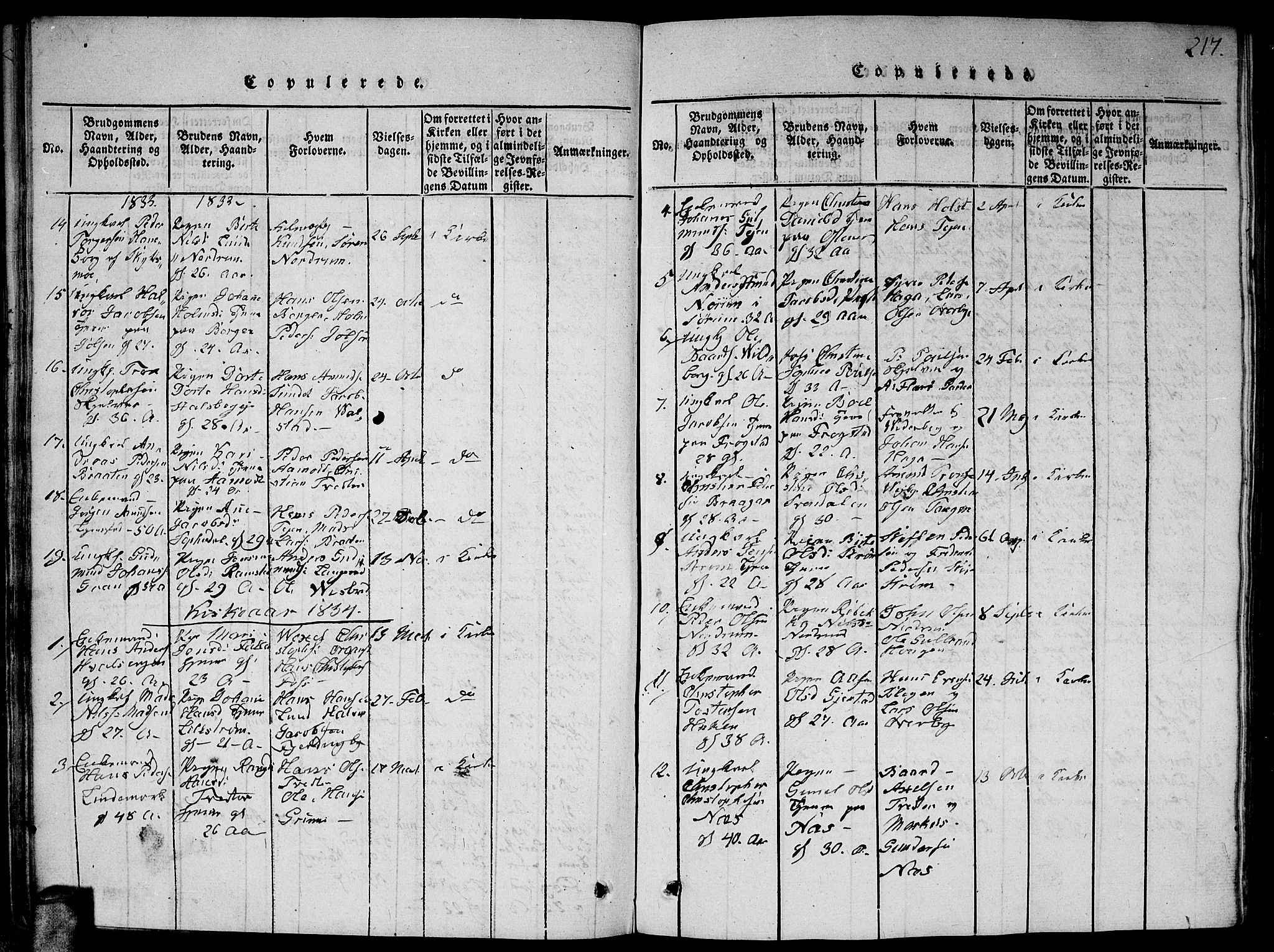 Fet prestekontor Kirkebøker, AV/SAO-A-10370a/G/Ga/L0001: Parish register (copy) no. I 1, 1815-1842, p. 217