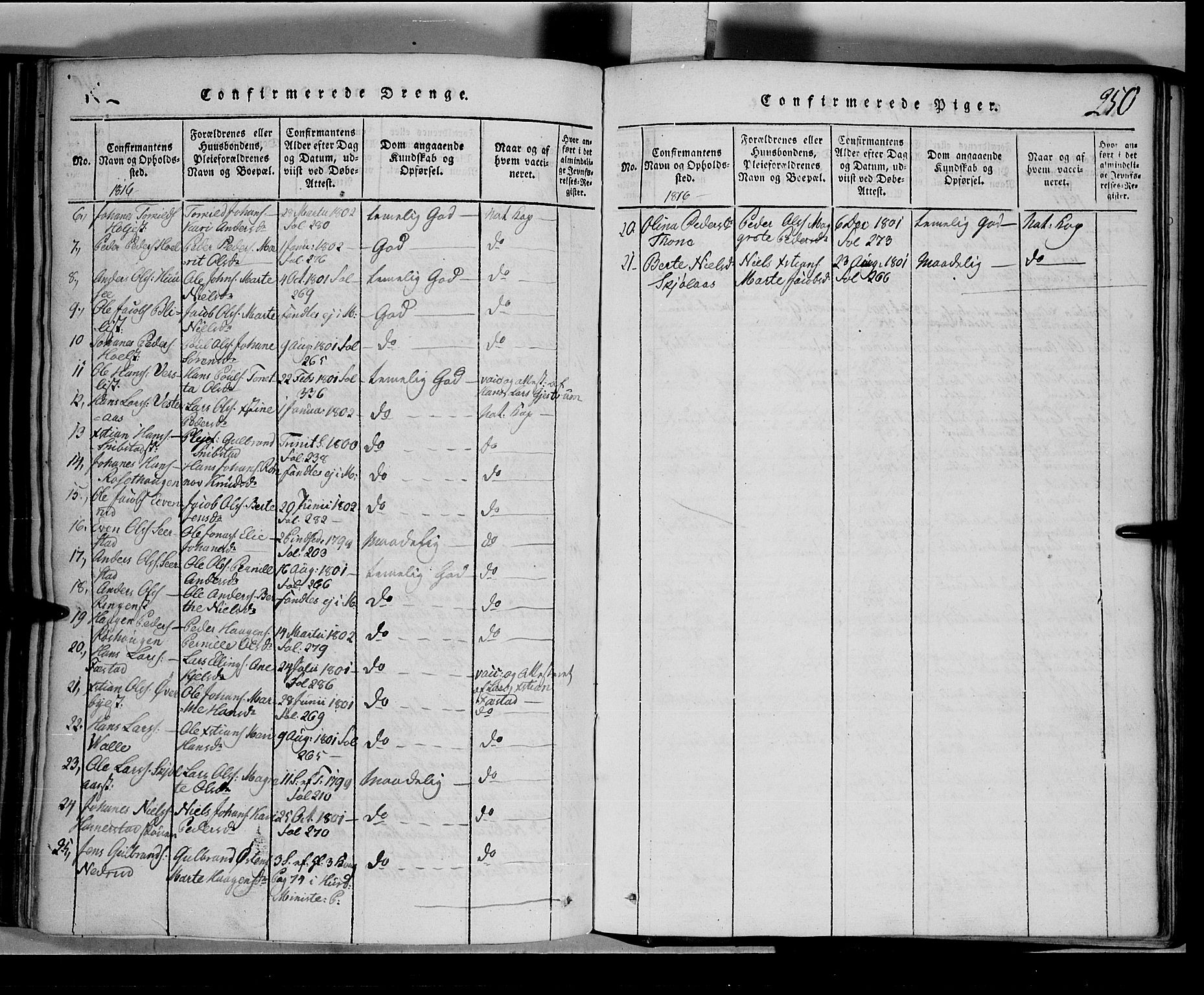 Toten prestekontor, SAH/PREST-102/H/Ha/Hab/L0001: Parish register (copy) no. 1, 1814-1820, p. 250