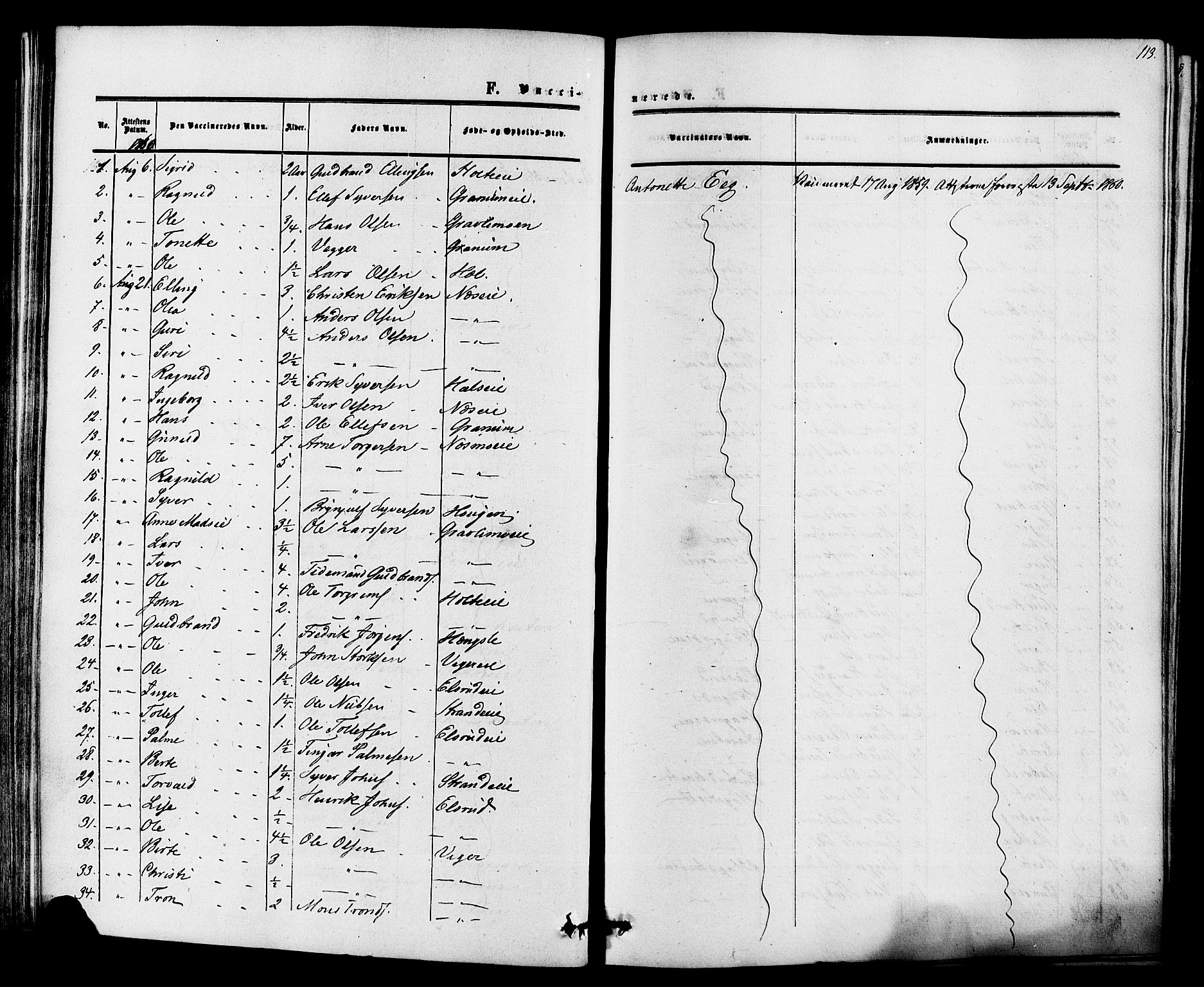 Ådal kirkebøker, AV/SAKO-A-248/F/Fa/L0002: Parish register (official) no. I 2, 1857-1883, p. 113