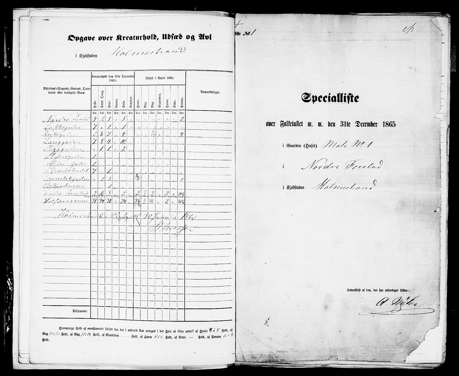 RA, 1865 census for Botne/Holmestrand, 1865, p. 8