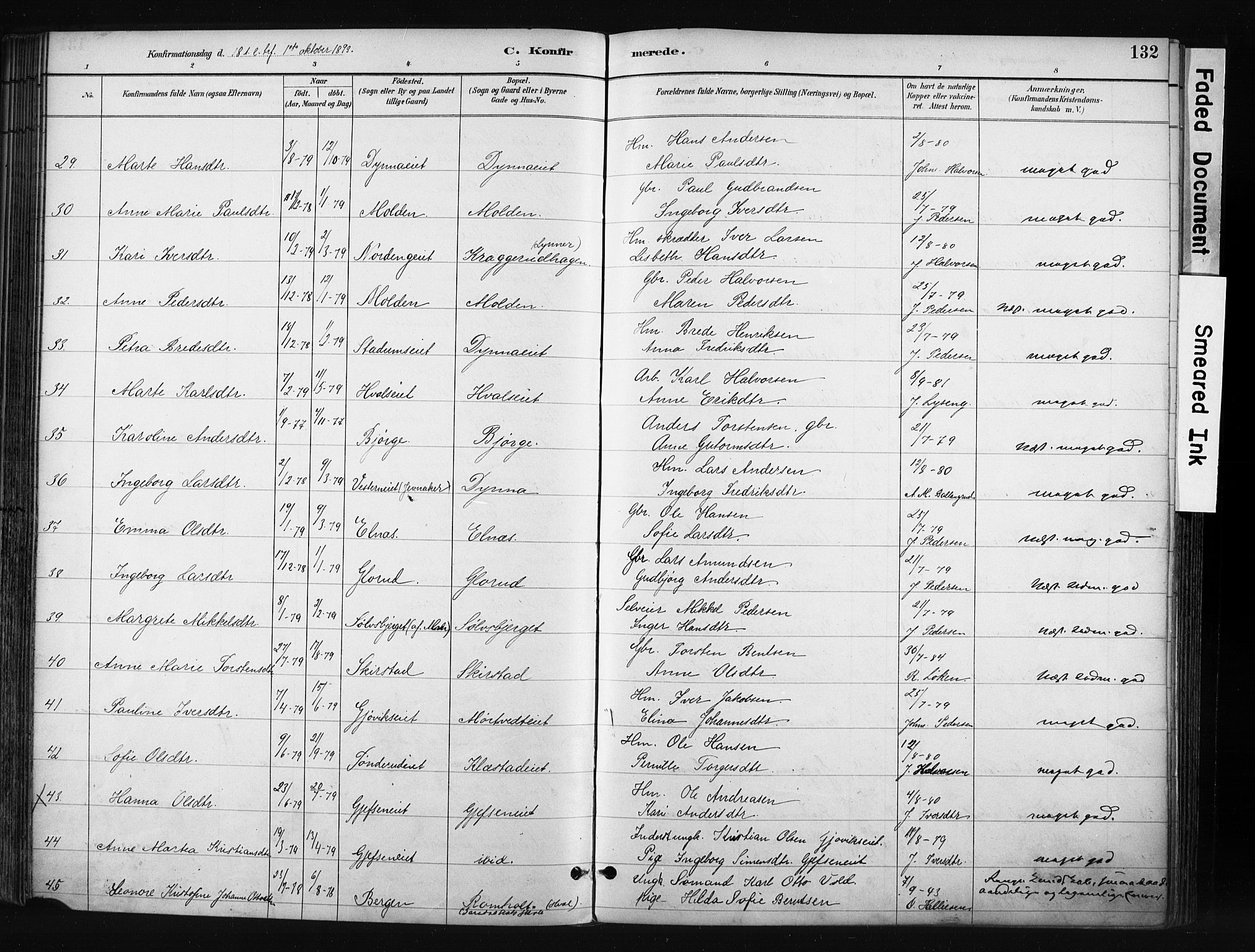 Gran prestekontor, AV/SAH-PREST-112/H/Ha/Haa/L0017: Parish register (official) no. 17, 1889-1897, p. 132