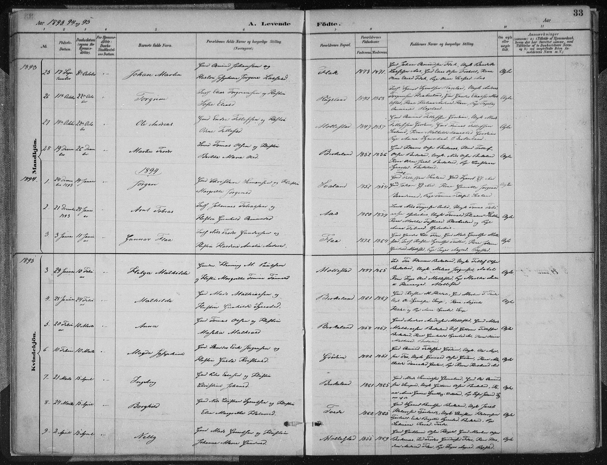 Birkenes sokneprestkontor, AV/SAK-1111-0004/F/Fa/L0005: Parish register (official) no. A 5, 1887-1907, p. 33