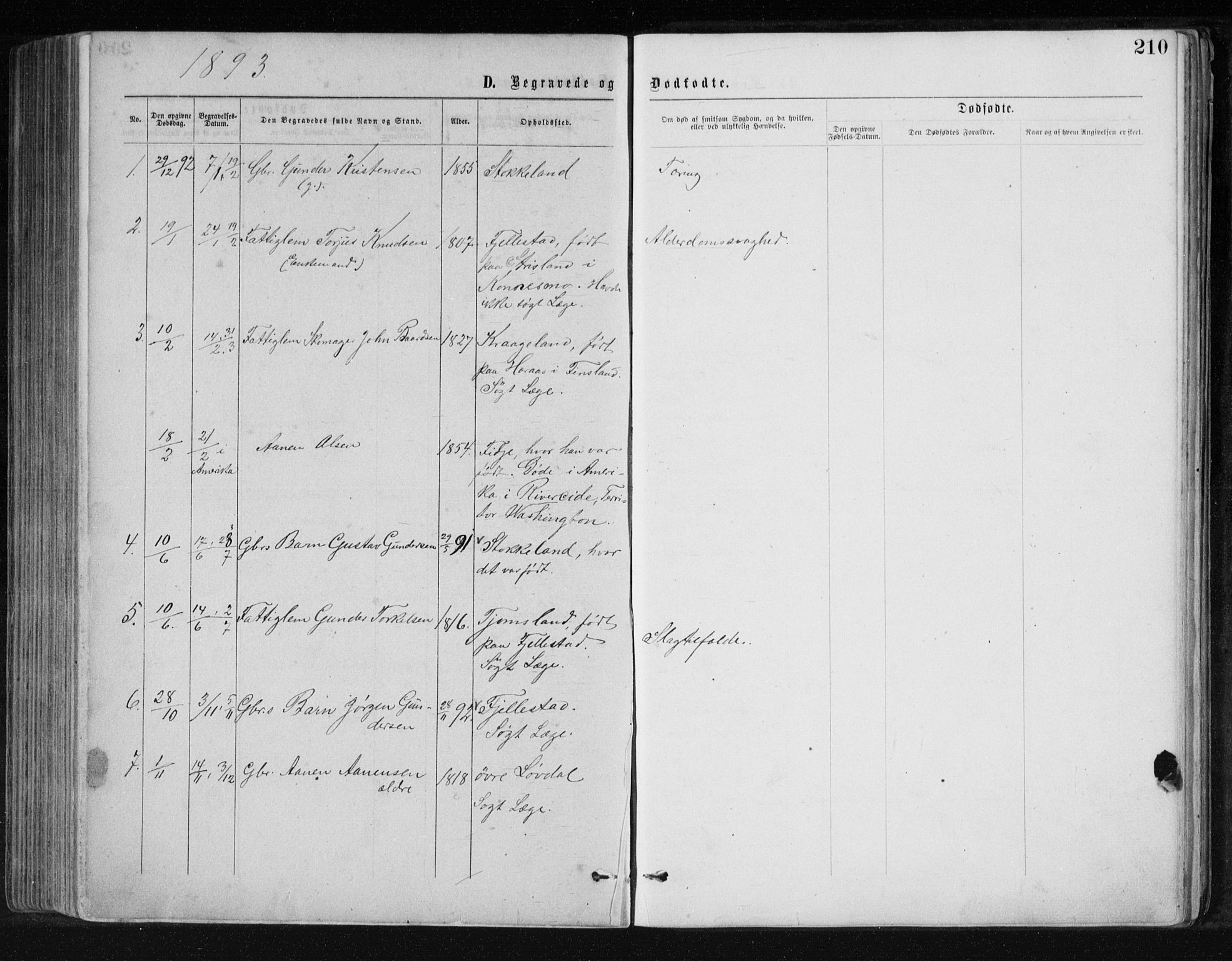 Holum sokneprestkontor, SAK/1111-0022/F/Fb/Fbb/L0003: Parish register (copy) no. B 3, 1875-1898, p. 210