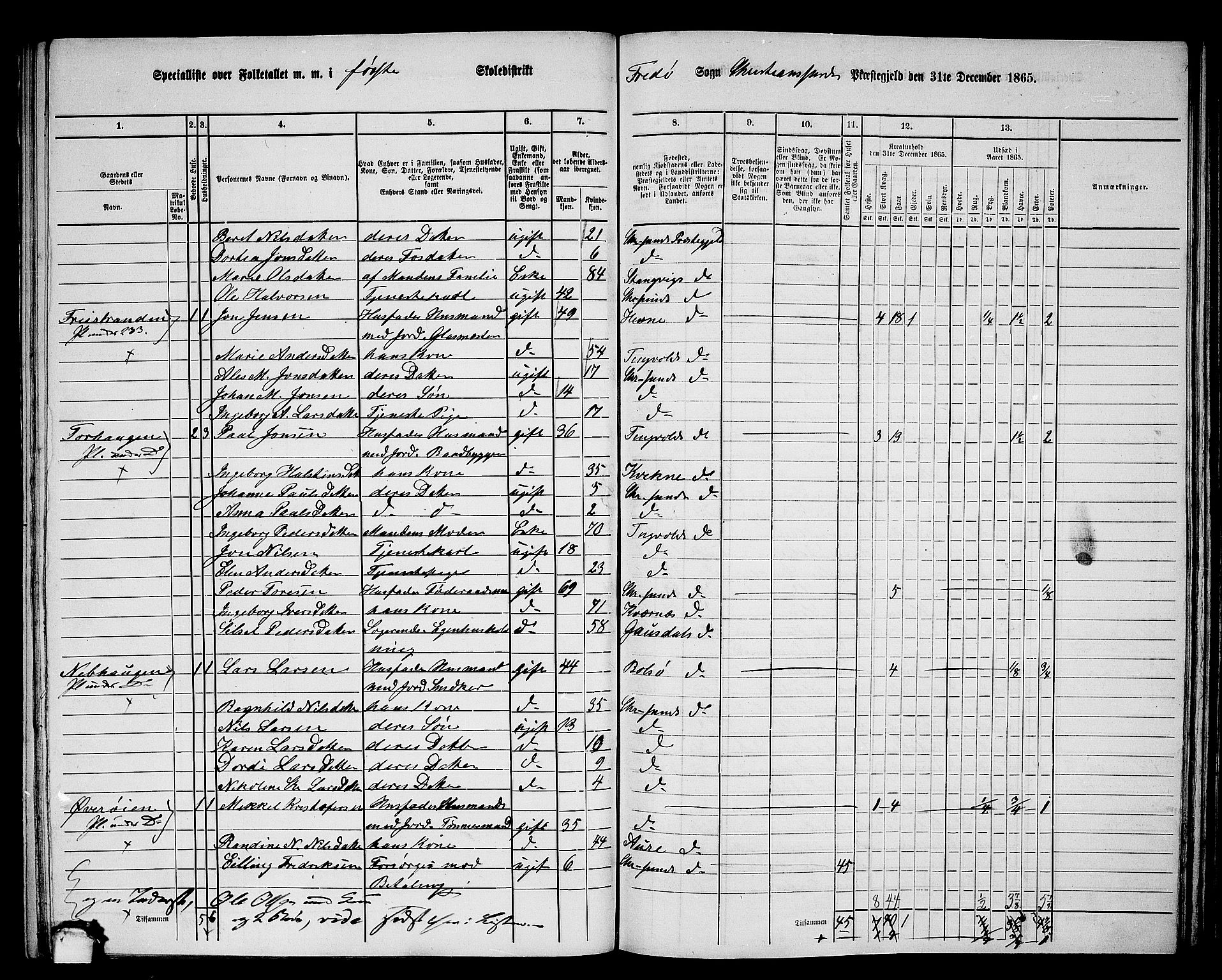 RA, 1865 census for Kristiansund/Frei og Grip, 1865, p. 20