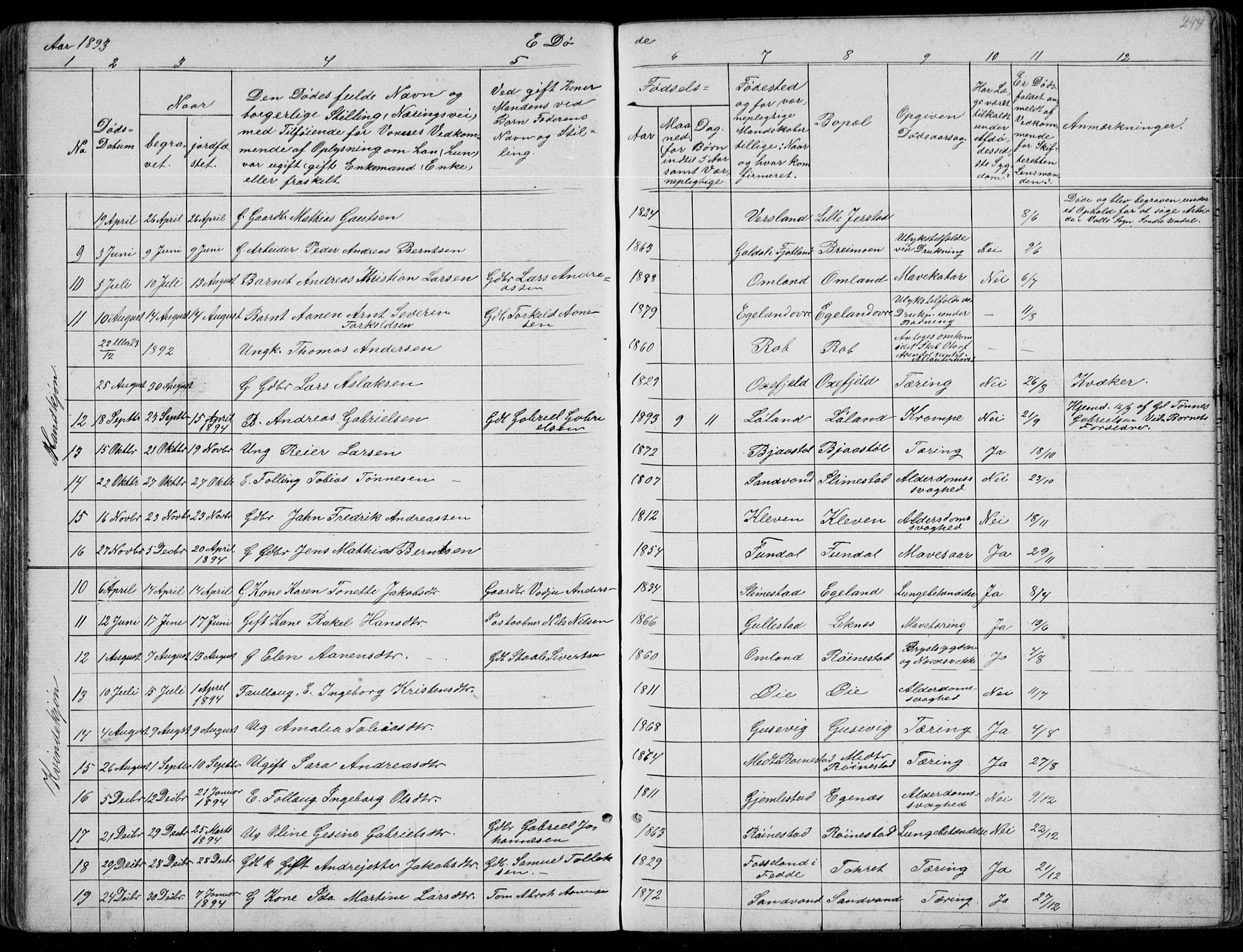 Kvinesdal sokneprestkontor, AV/SAK-1111-0026/F/Fb/Fbb/L0002: Parish register (copy) no. B 2, 1873-1897, p. 244