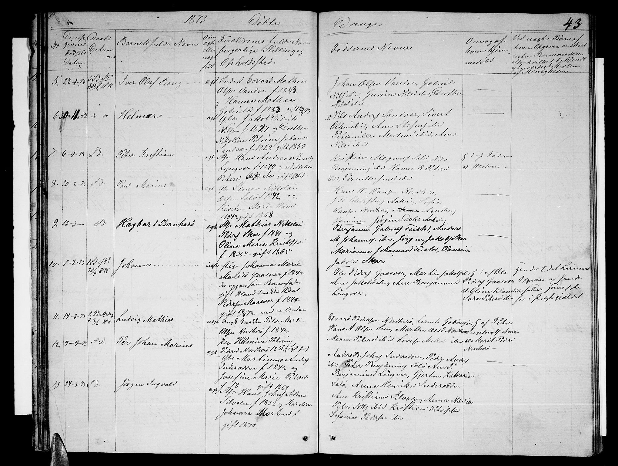 Ministerialprotokoller, klokkerbøker og fødselsregistre - Nordland, AV/SAT-A-1459/834/L0512: Parish register (copy) no. 834C03, 1862-1877, p. 43