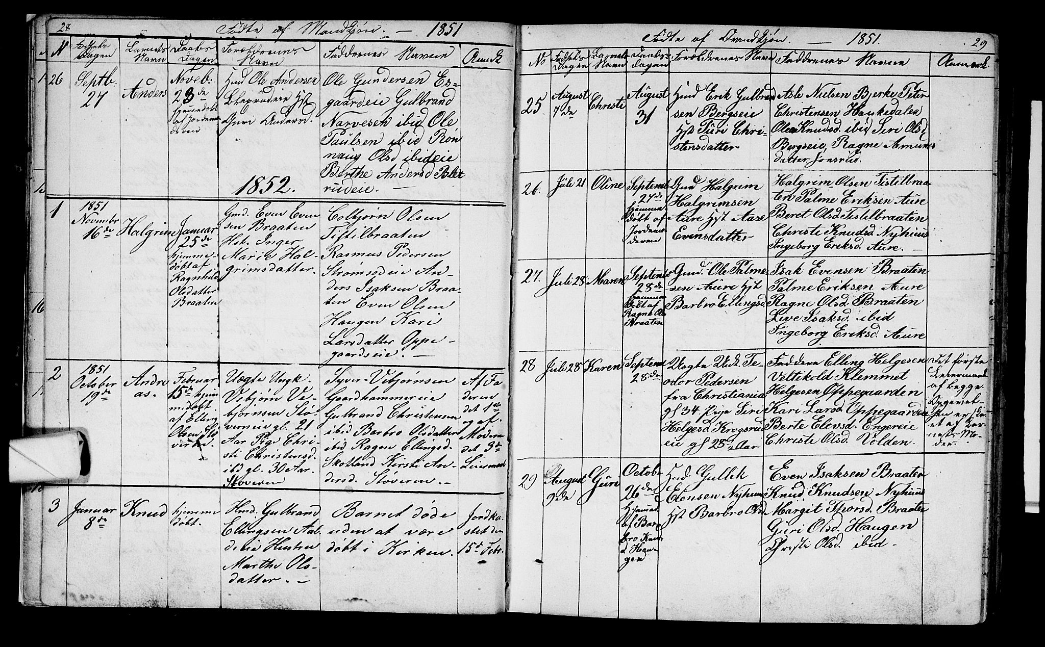 Lunder kirkebøker, AV/SAKO-A-629/G/Ga/L0002: Parish register (copy) no. I 2, 1849-1868, p. 28-29