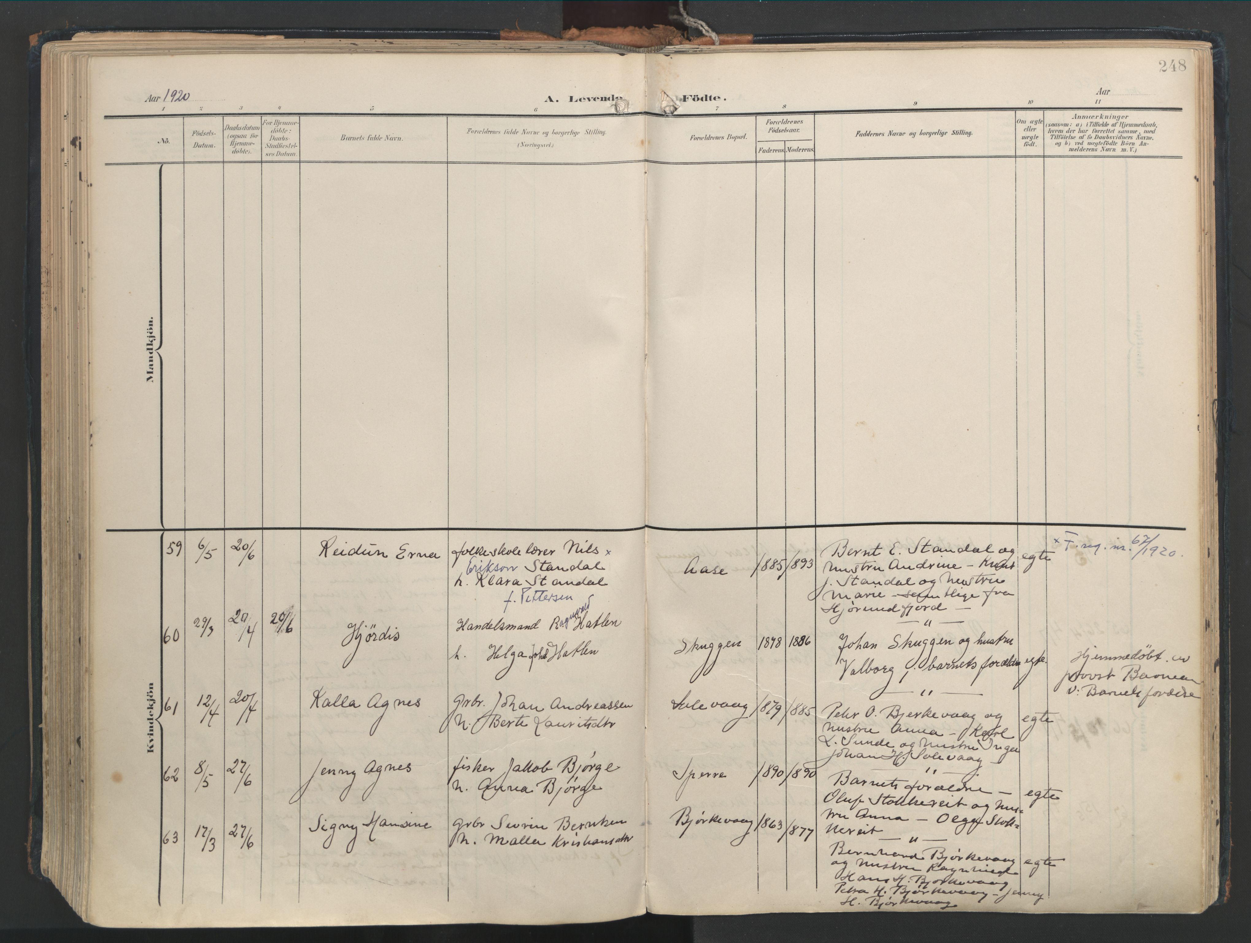 Ministerialprotokoller, klokkerbøker og fødselsregistre - Møre og Romsdal, AV/SAT-A-1454/528/L0411: Parish register (official) no. 528A20, 1907-1920, p. 248