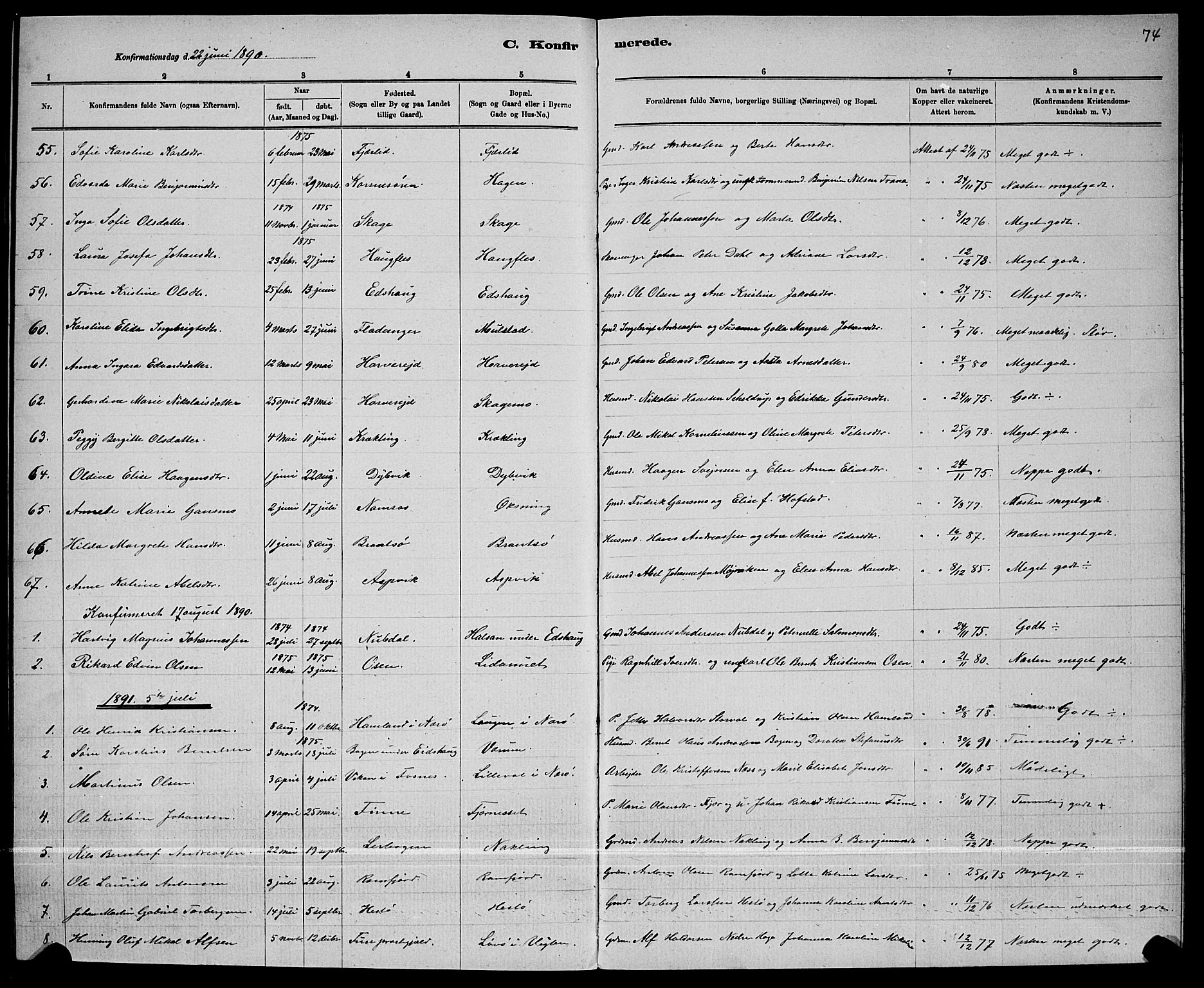 Ministerialprotokoller, klokkerbøker og fødselsregistre - Nord-Trøndelag, AV/SAT-A-1458/780/L0651: Parish register (copy) no. 780C03, 1884-1898, p. 74