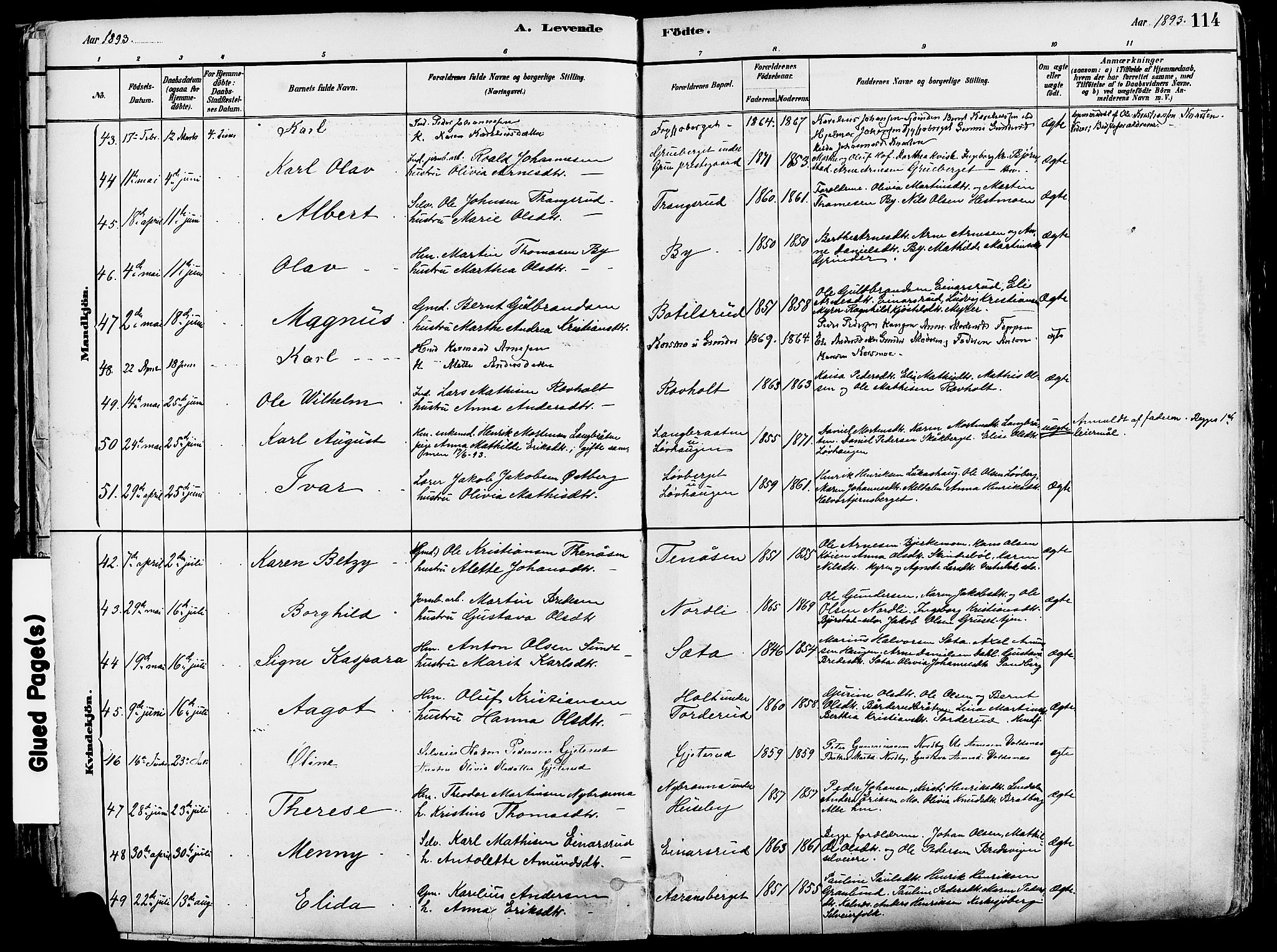 Grue prestekontor, AV/SAH-PREST-036/H/Ha/Haa/L0012: Parish register (official) no. 12, 1881-1897, p. 114