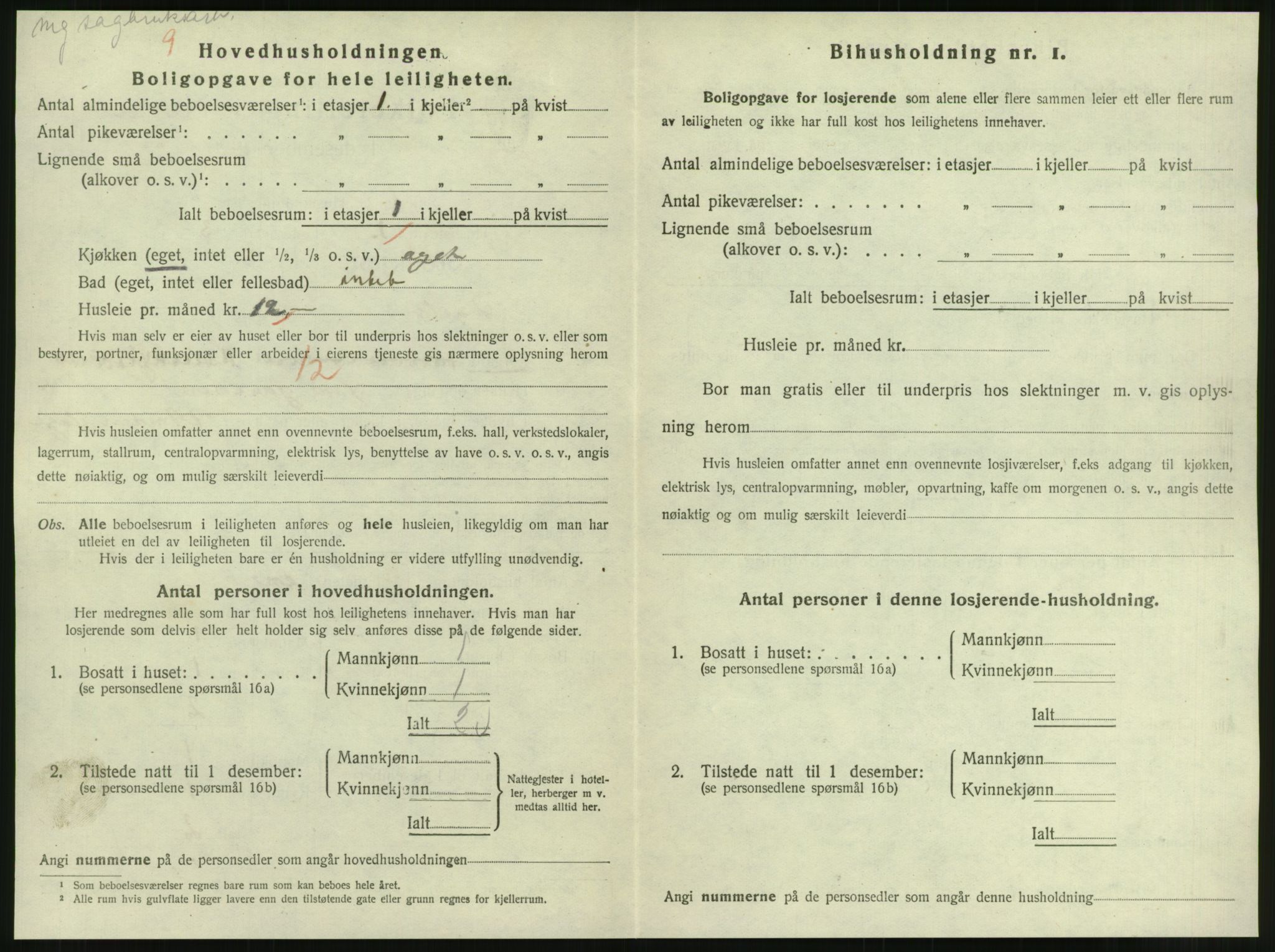 SAT, 1920 census for Steinkjer, 1920, p. 1117