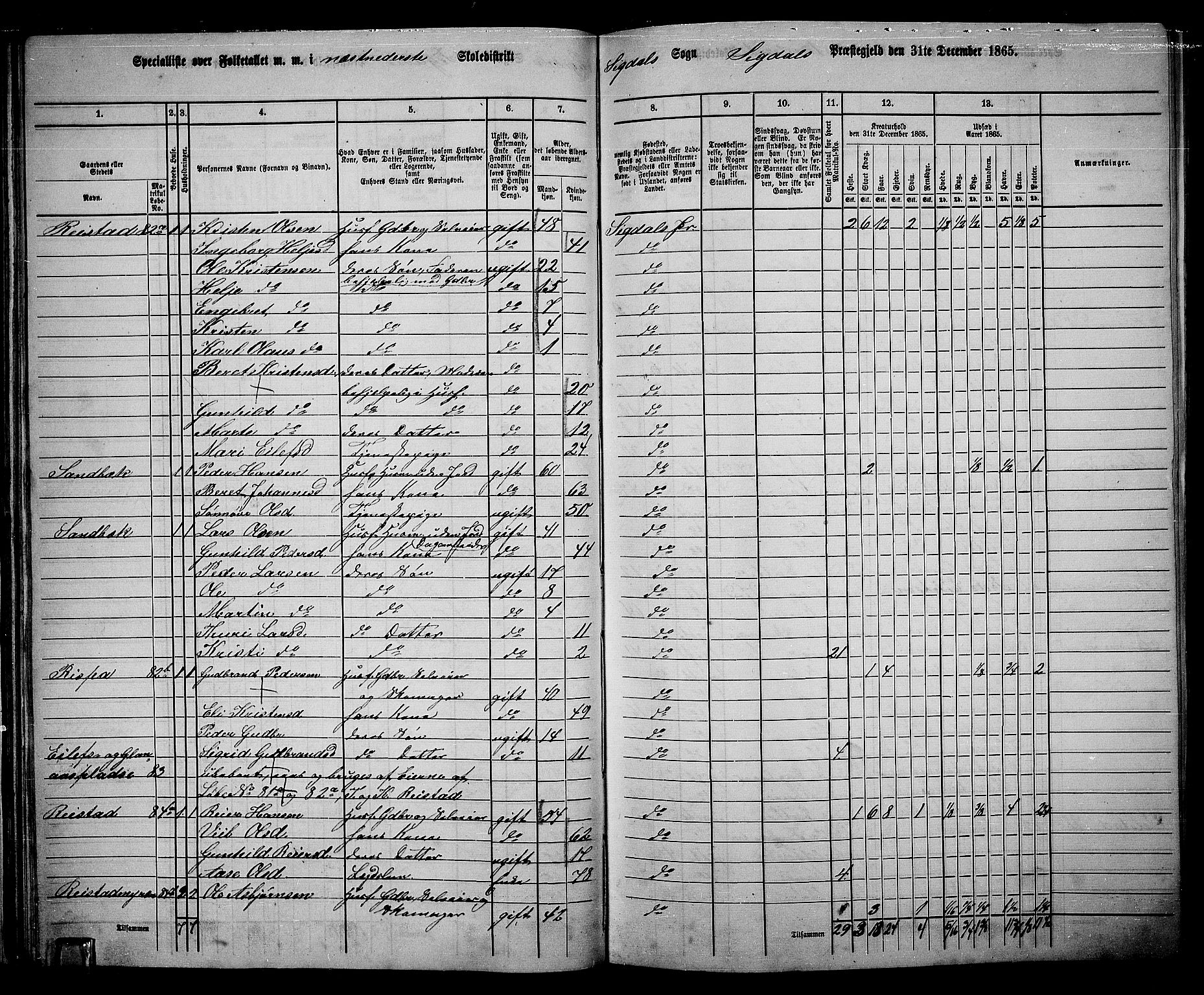 RA, 1865 census for Sigdal, 1865, p. 62