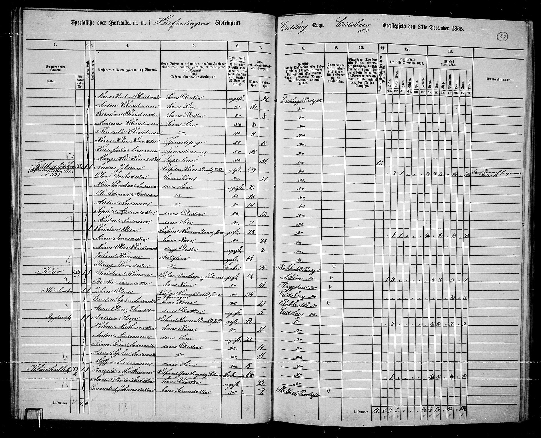 RA, 1865 census for Eidsberg, 1865, p. 49