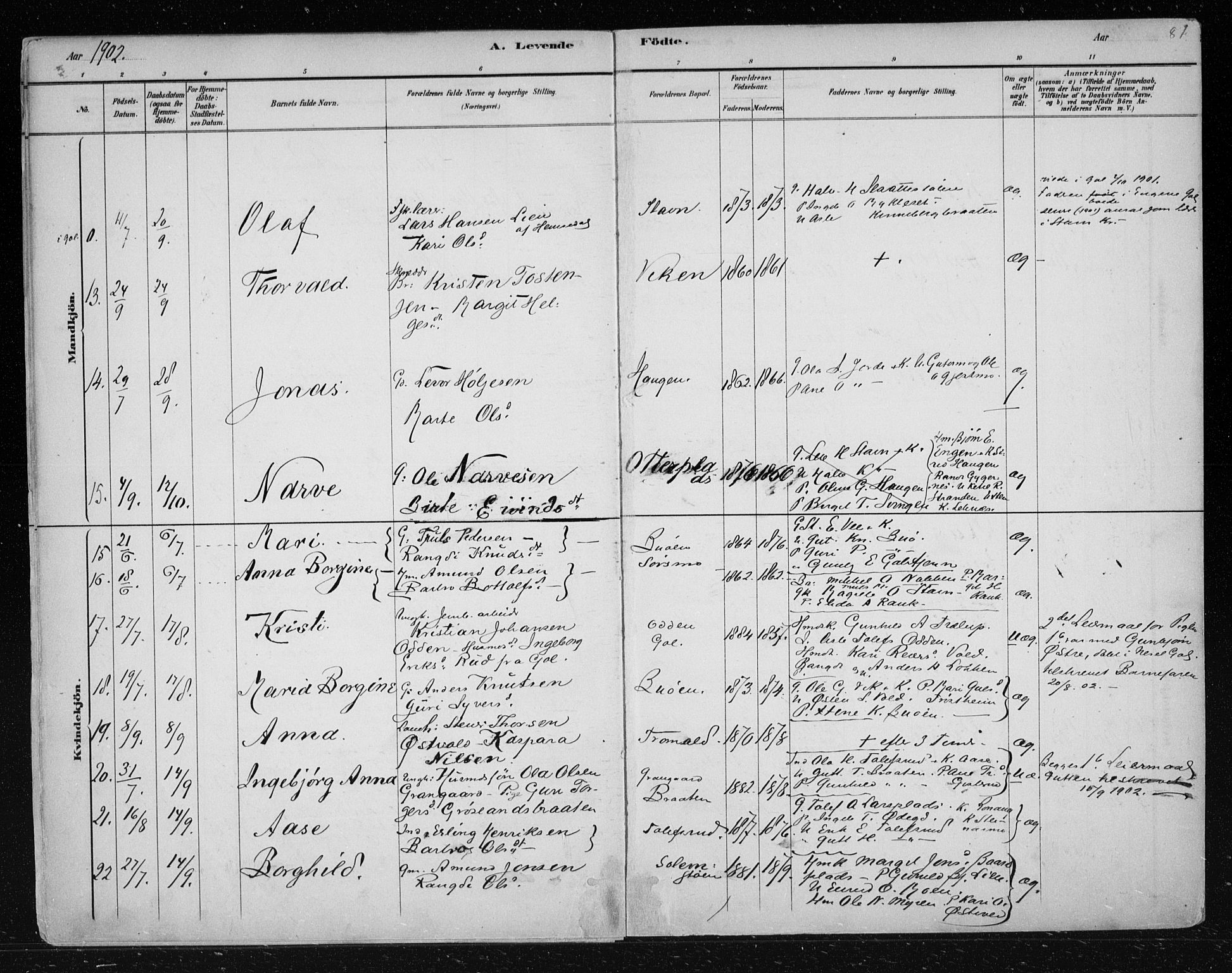 Nes kirkebøker, AV/SAKO-A-236/F/Fa/L0012: Parish register (official) no. 12, 1881-1917, p. 81