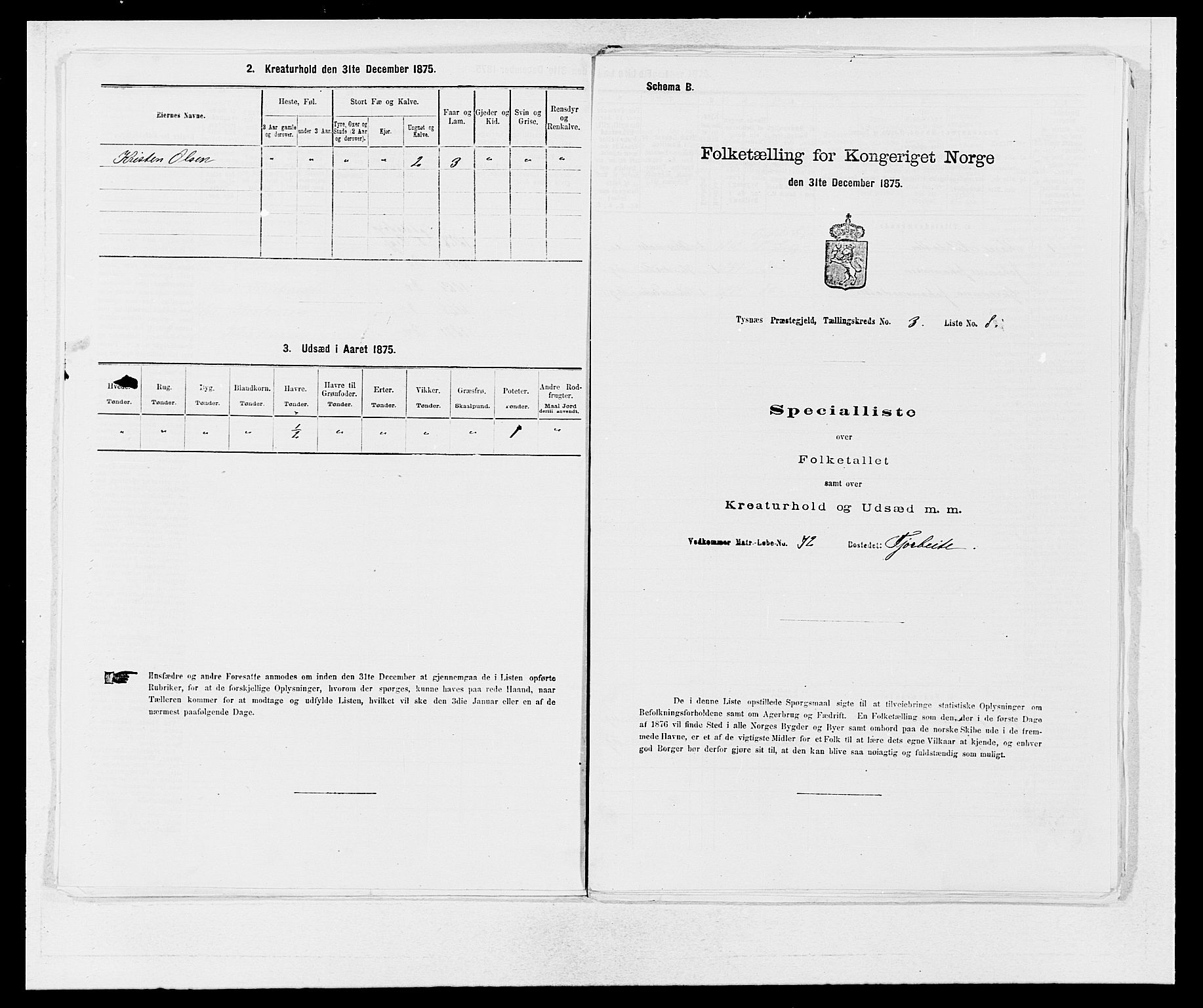 SAB, 1875 census for 1223P Tysnes, 1875, p. 234