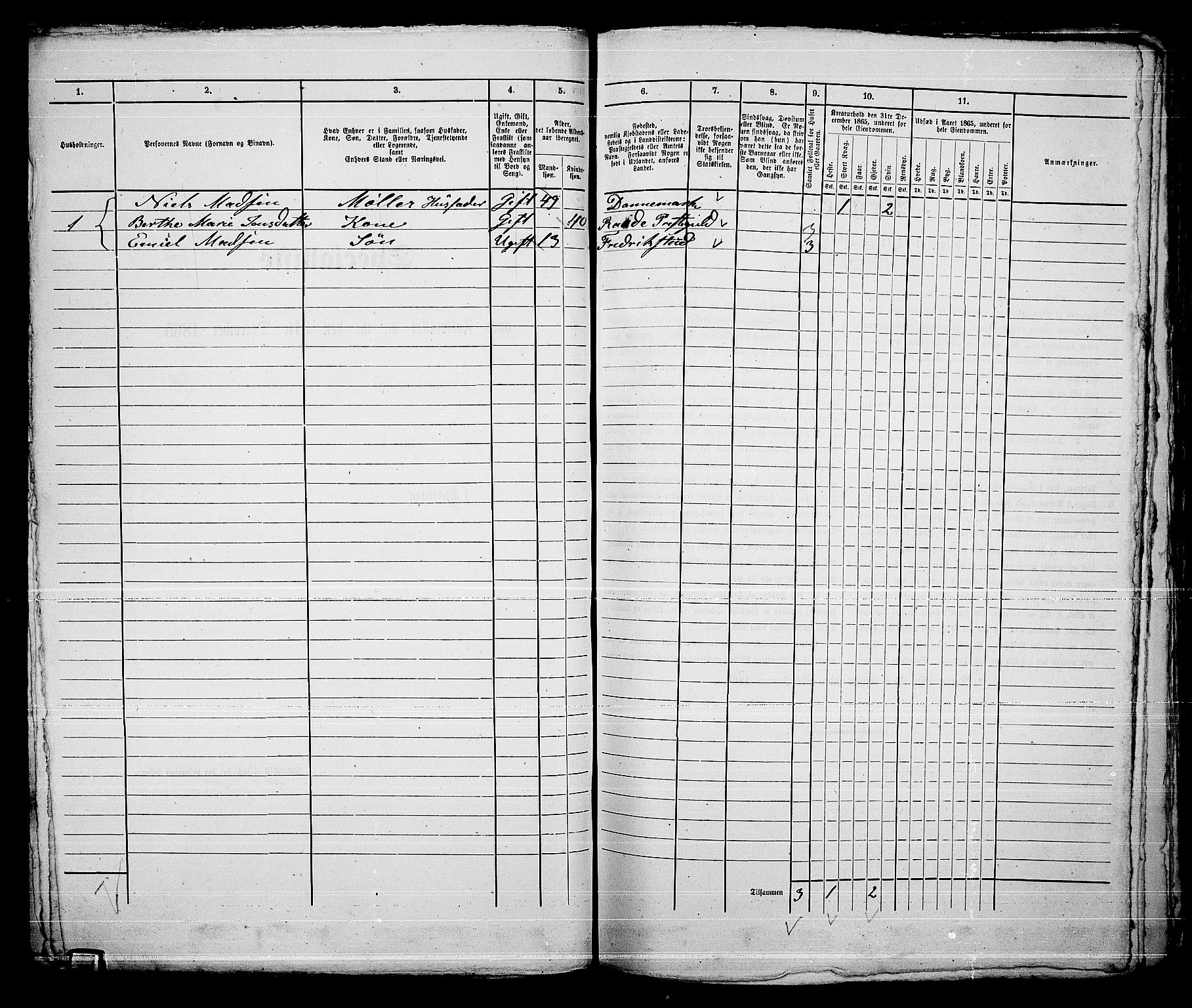 RA, 1865 census for Norderhov/Hønefoss, 1865, p. 123