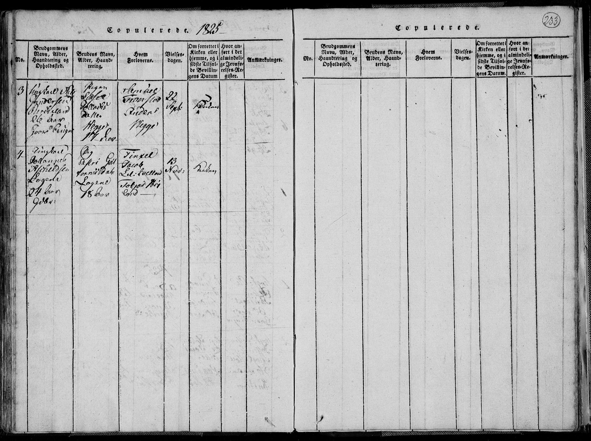Lyngdal sokneprestkontor, SAK/1111-0029/F/Fa/Fac/L0006: Parish register (official) no. A 6, 1815-1825, p. 233