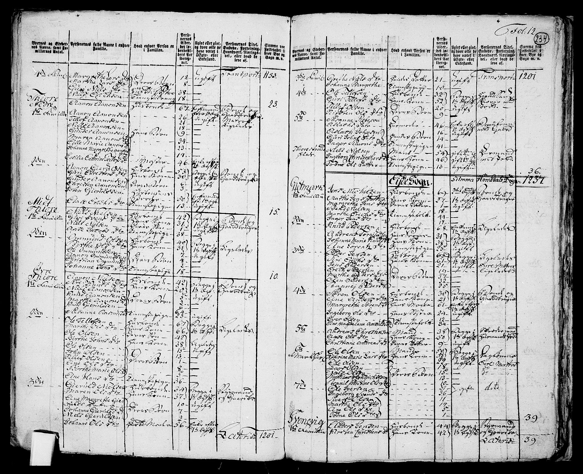 RA, 1801 census for 0924P Homedal, 1801, p. 233b-234a