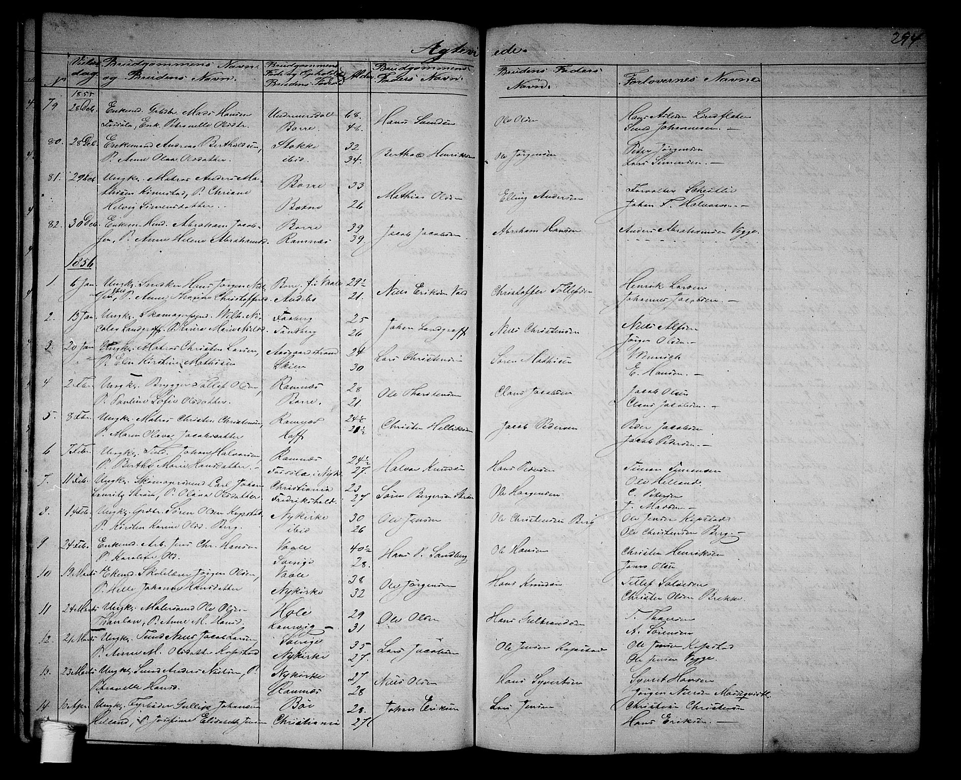 Borre kirkebøker, SAKO/A-338/G/Ga/L0002: Parish register (copy) no. I 2, 1852-1871, p. 294