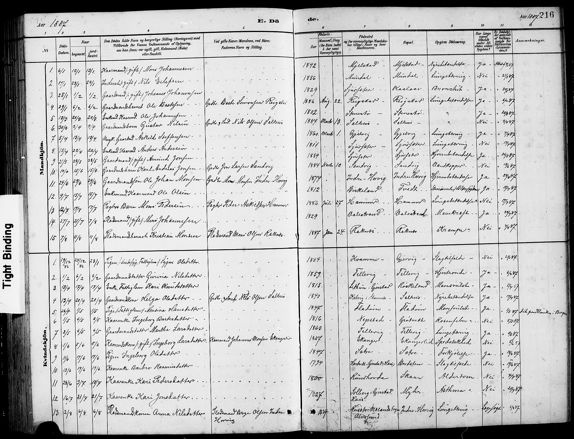 Hamre sokneprestembete, SAB/A-75501/H/Ha/Hab: Parish register (copy) no. B 3, 1881-1898, p. 216