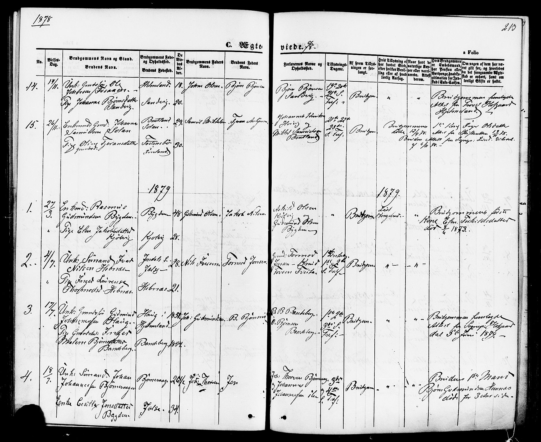 Jelsa sokneprestkontor, SAST/A-101842/01/IV: Parish register (official) no. A 8, 1867-1883, p. 213