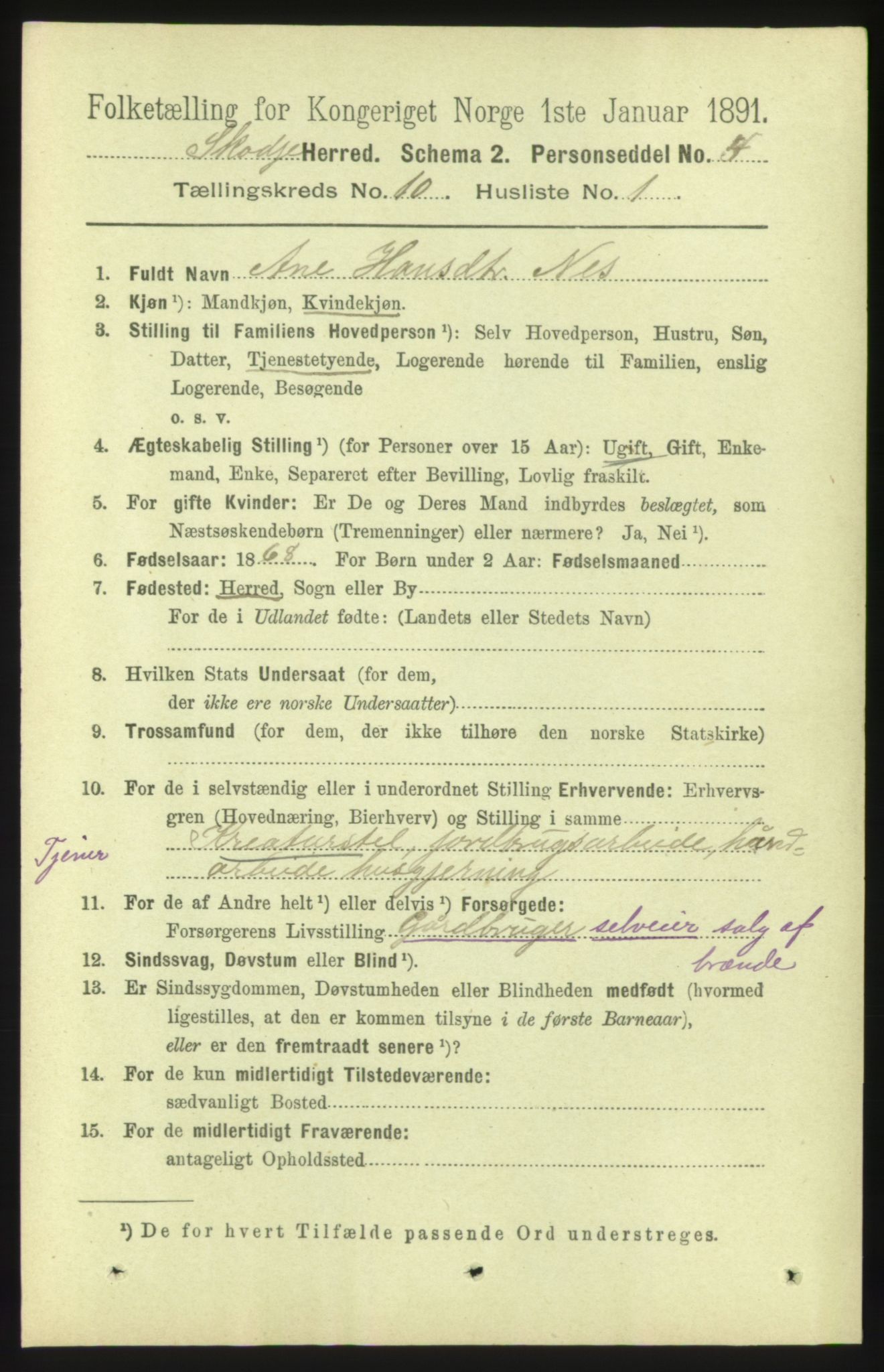 RA, 1891 census for 1529 Skodje, 1891, p. 2010