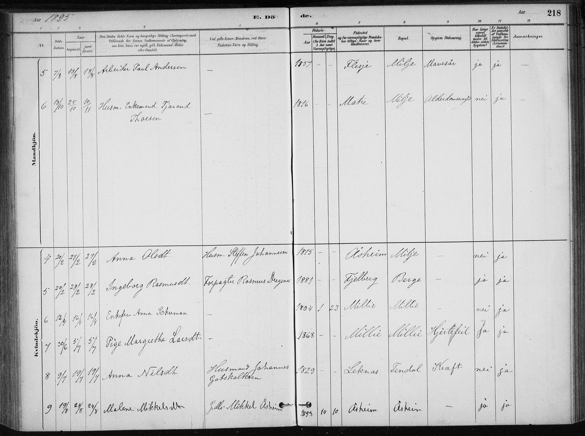 Skånevik sokneprestembete, SAB/A-77801/H/Haa: Parish register (official) no. B 1, 1879-1914, p. 218