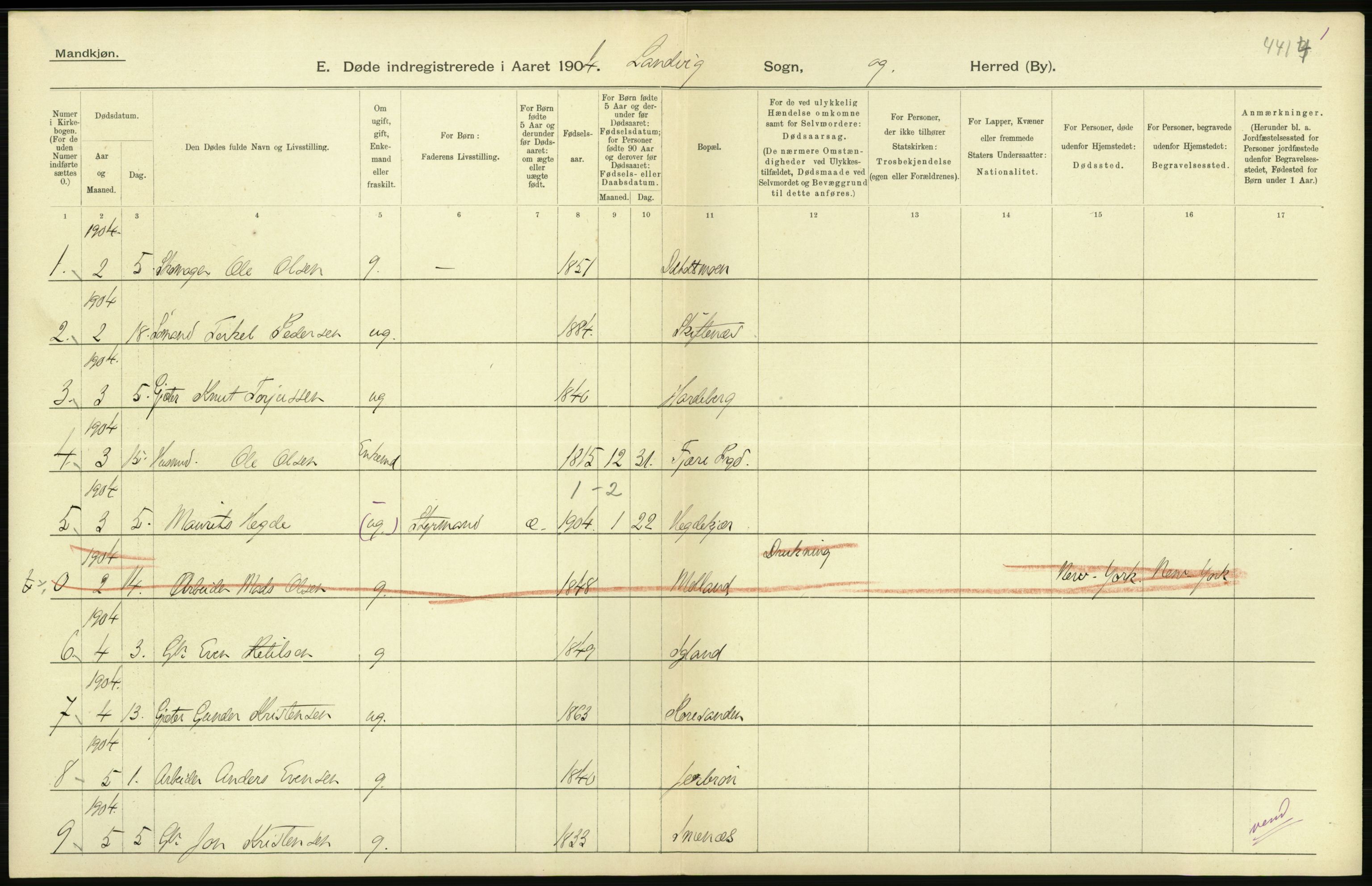 Statistisk sentralbyrå, Sosiodemografiske emner, Befolkning, AV/RA-S-2228/D/Df/Dfa/Dfab/L0010: Nedenes amt: Fødte, gifte, døde, 1904, p. 432