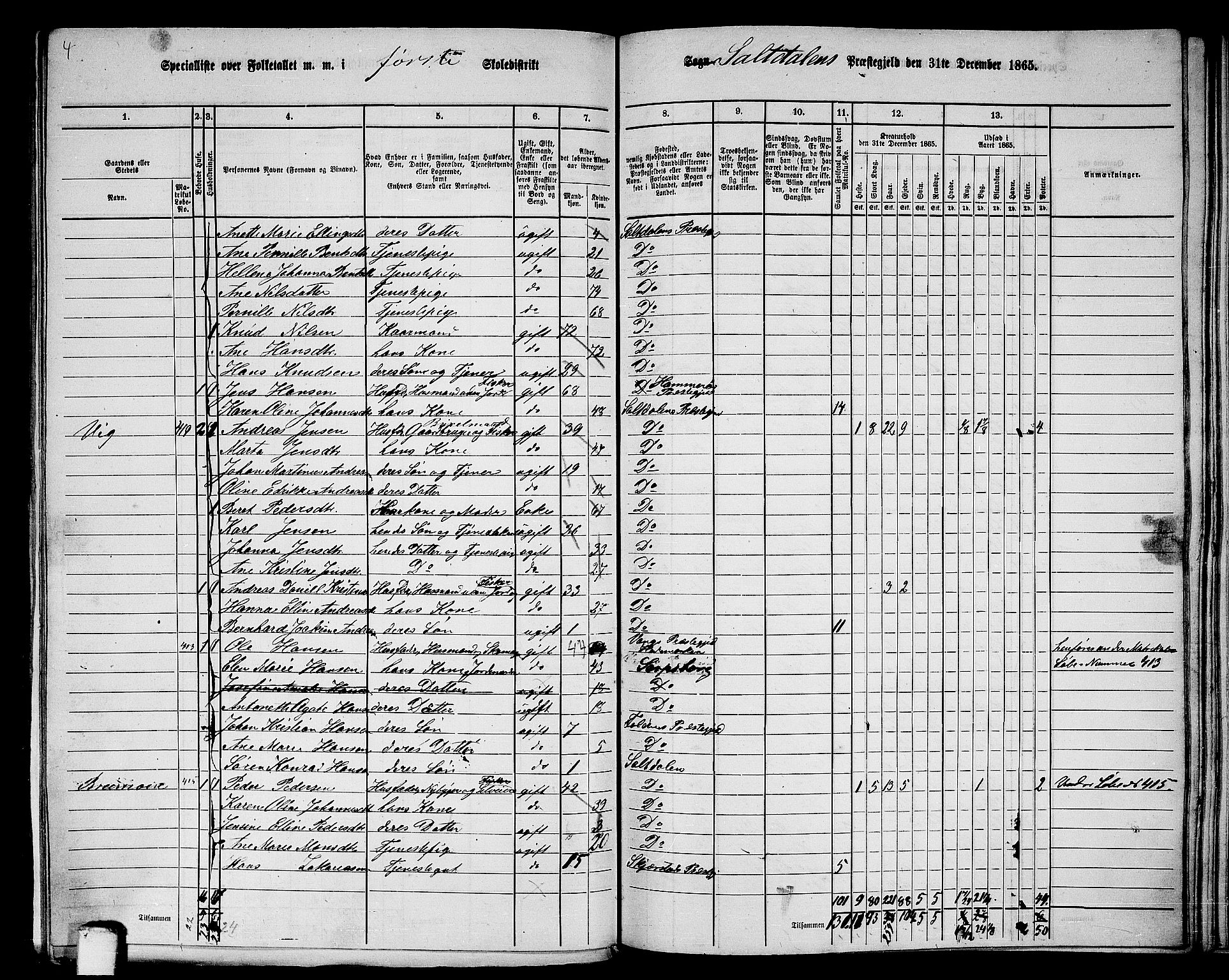 RA, 1865 census for Saltdal, 1865, p. 9