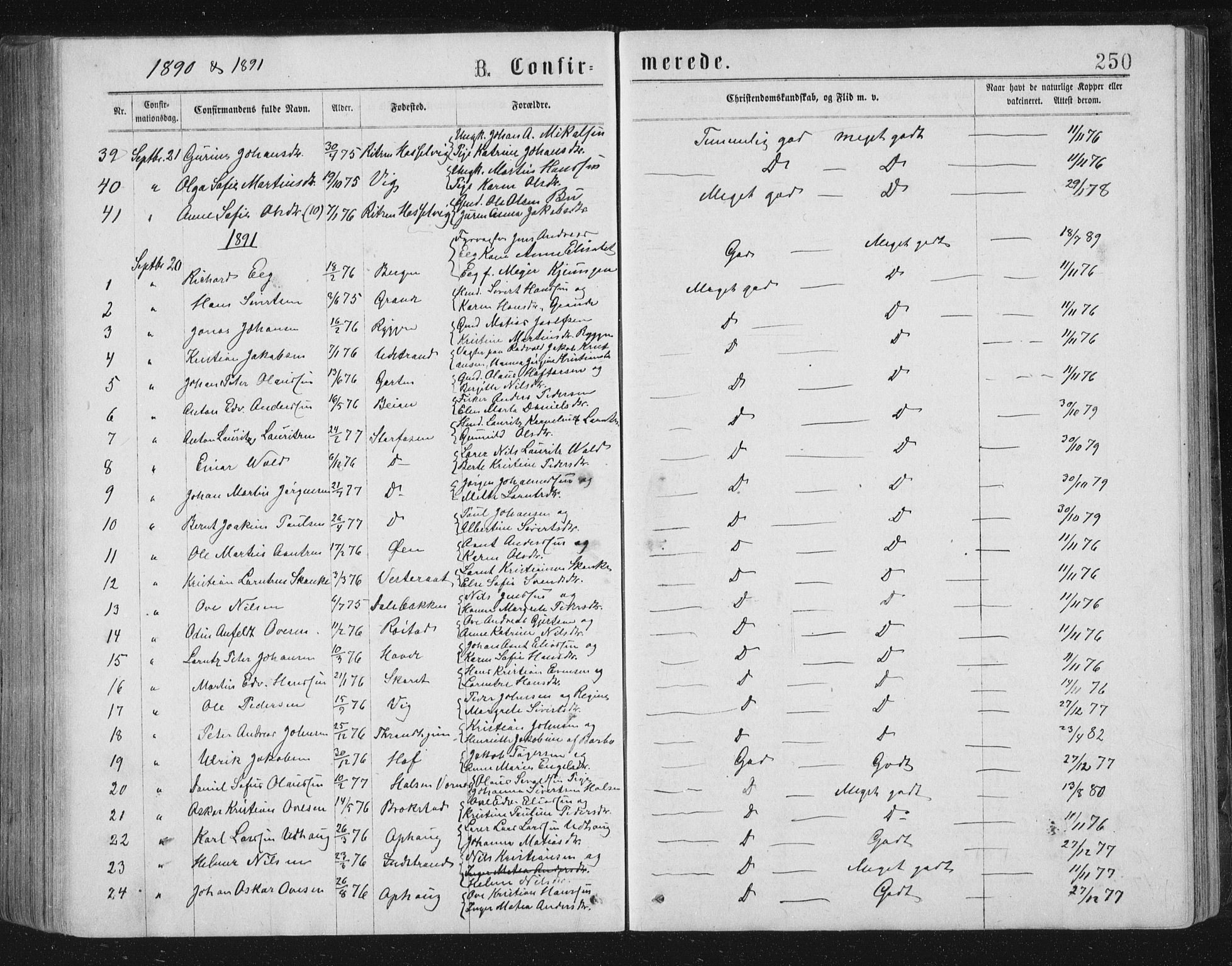 Ministerialprotokoller, klokkerbøker og fødselsregistre - Sør-Trøndelag, SAT/A-1456/659/L0745: Parish register (copy) no. 659C02, 1869-1892, p. 250