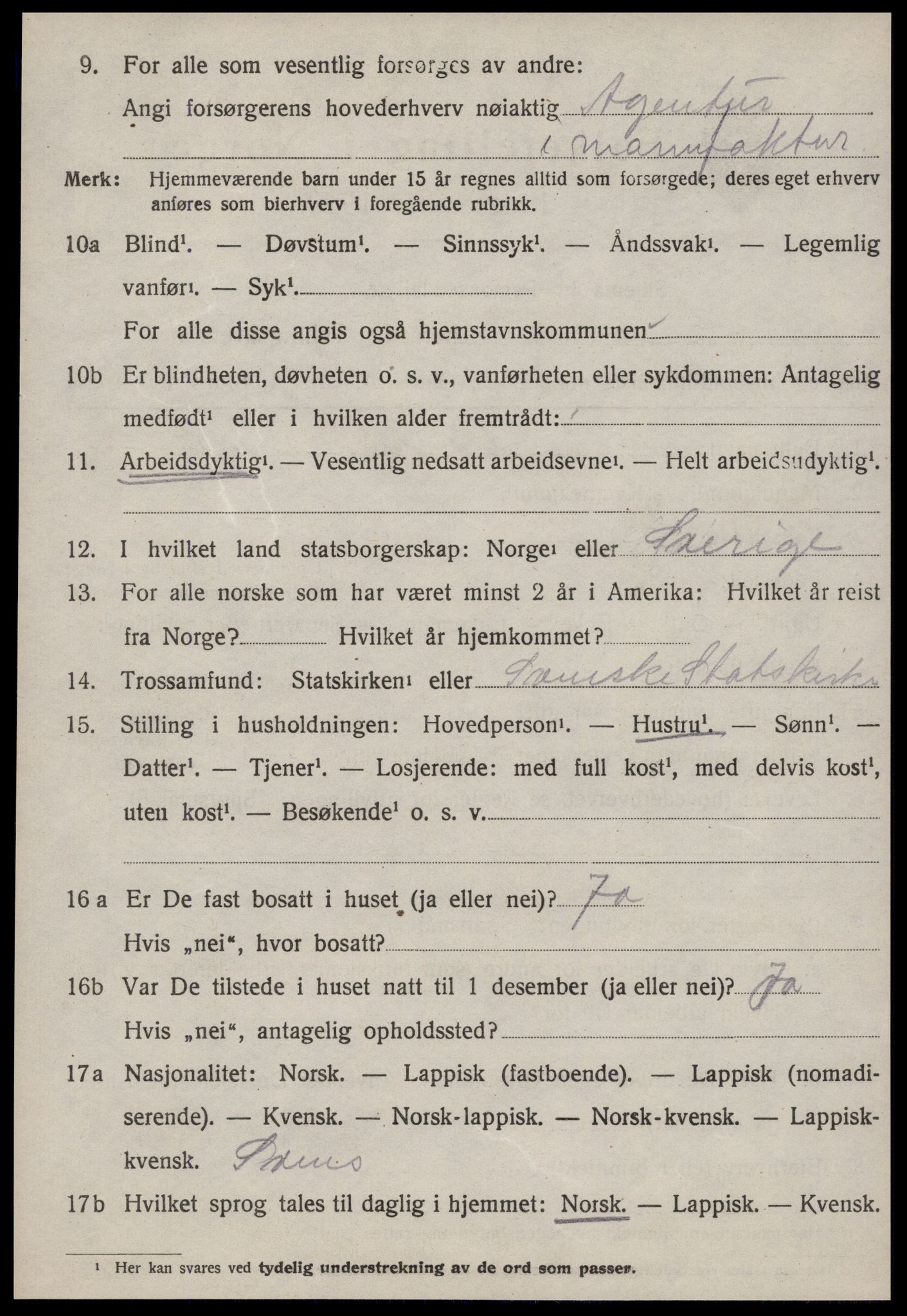 SAT, 1920 census for Strinda, 1920, p. 25029