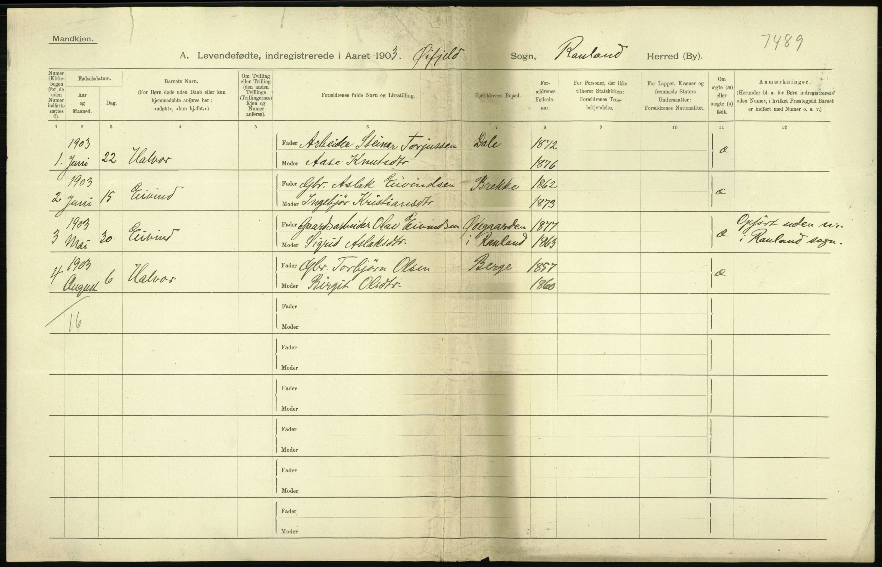 Statistisk sentralbyrå, Sosiodemografiske emner, Befolkning, AV/RA-S-2228/D/Df/Dfa/Dfaa/L0009: Bratsberg amt: Fødte, gifte, døde, 1903, p. 4