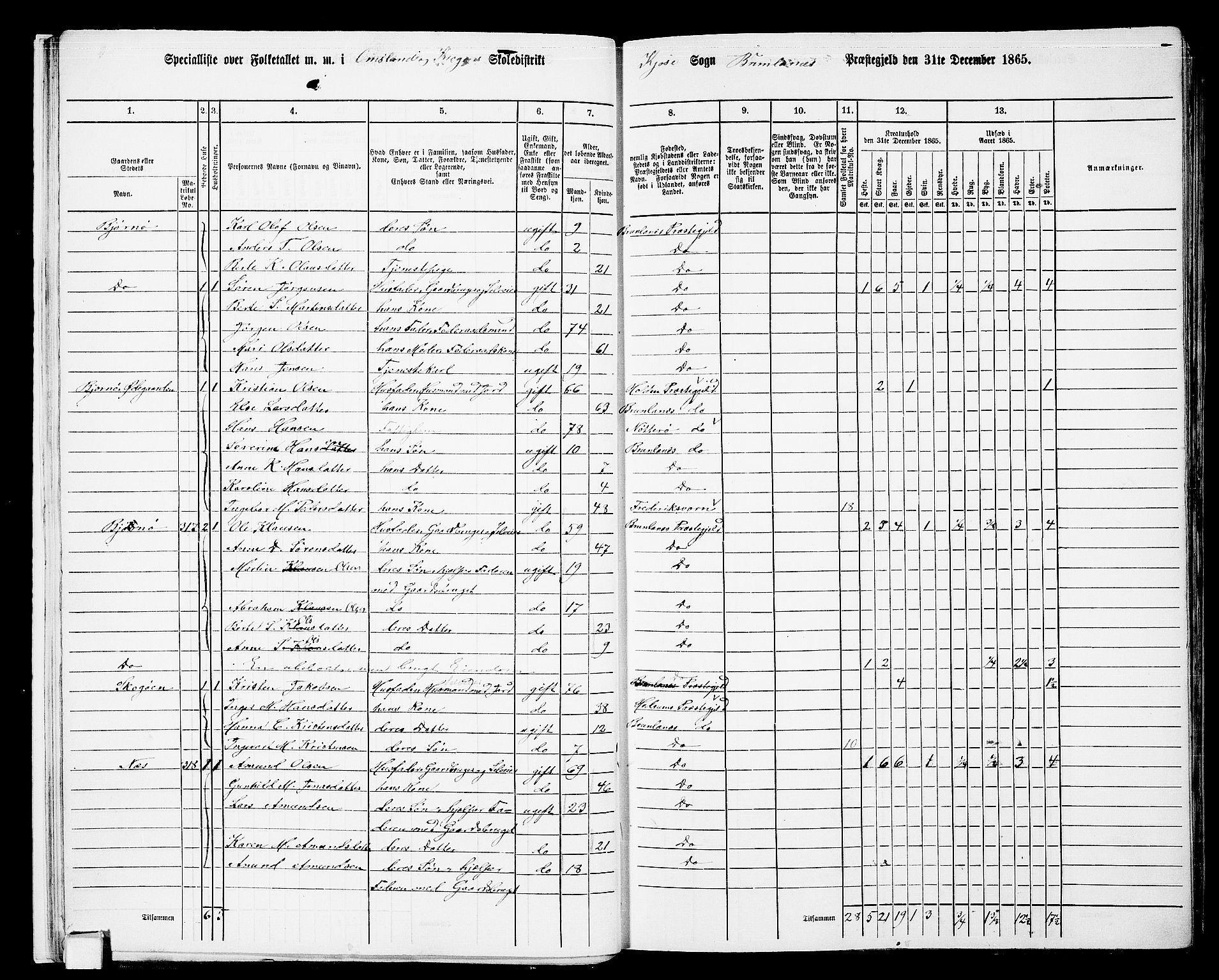 RA, 1865 census for Brunlanes, 1865, p. 18