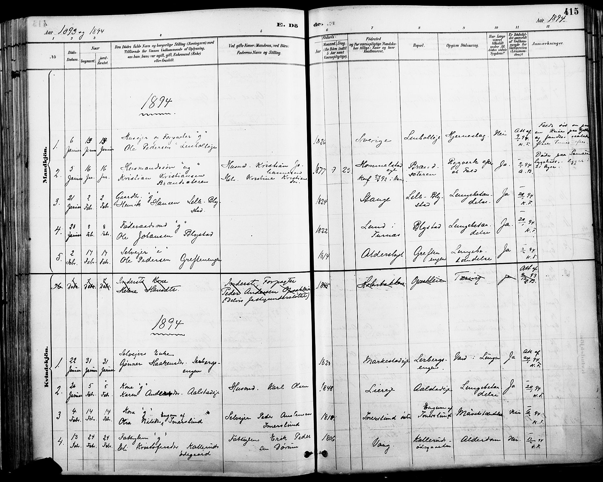 Vang prestekontor, Hedmark, SAH/PREST-008/H/Ha/Haa/L0019A: Parish register (official) no. 19, 1886-1900, p. 415