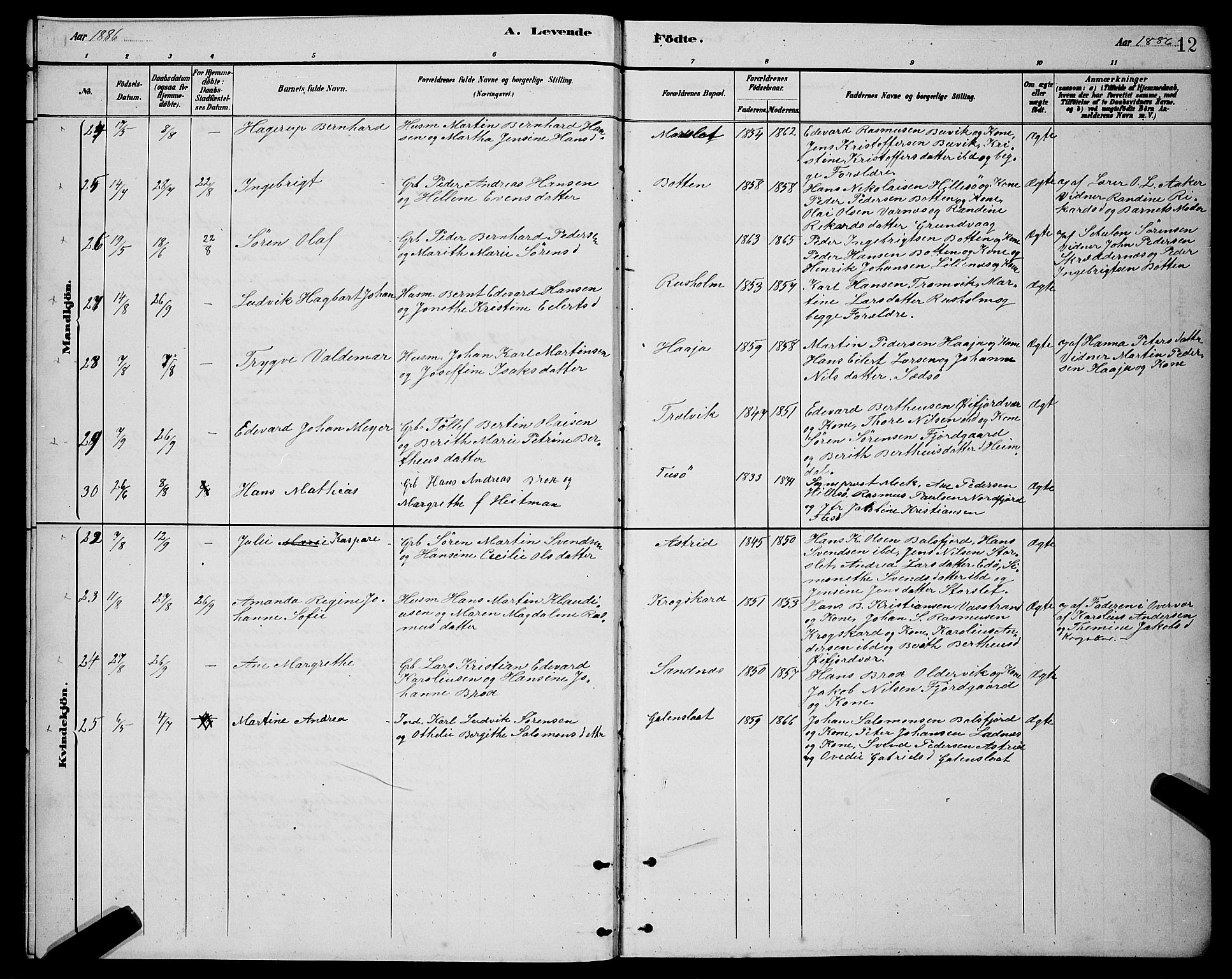 Lenvik sokneprestembete, AV/SATØ-S-1310/H/Ha/Hab/L0021klokker: Parish register (copy) no. 21, 1884-1900, p. 12