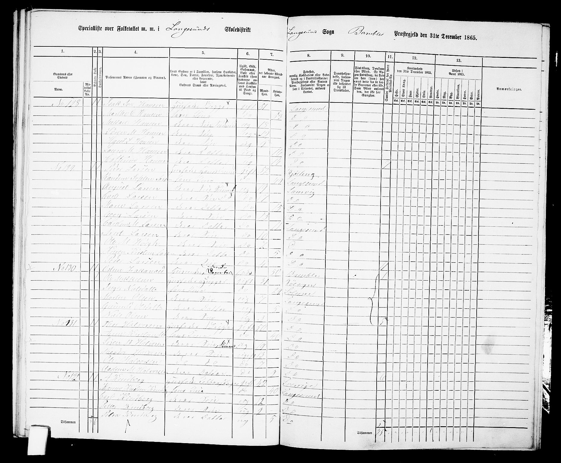 RA, 1865 census for Bamble, 1865, p. 216