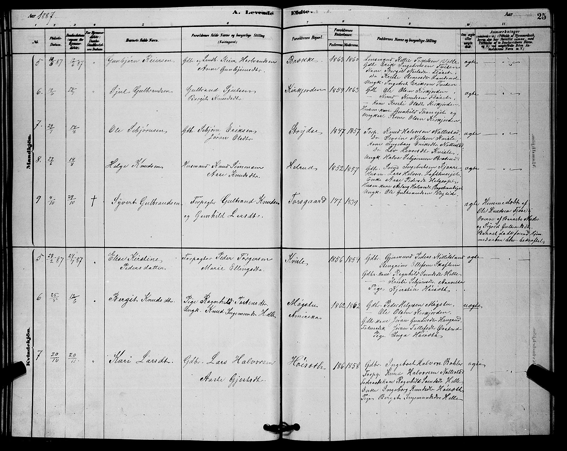 Rollag kirkebøker, AV/SAKO-A-240/G/Gb/L0002: Parish register (copy) no. II 2, 1878-1898, p. 25