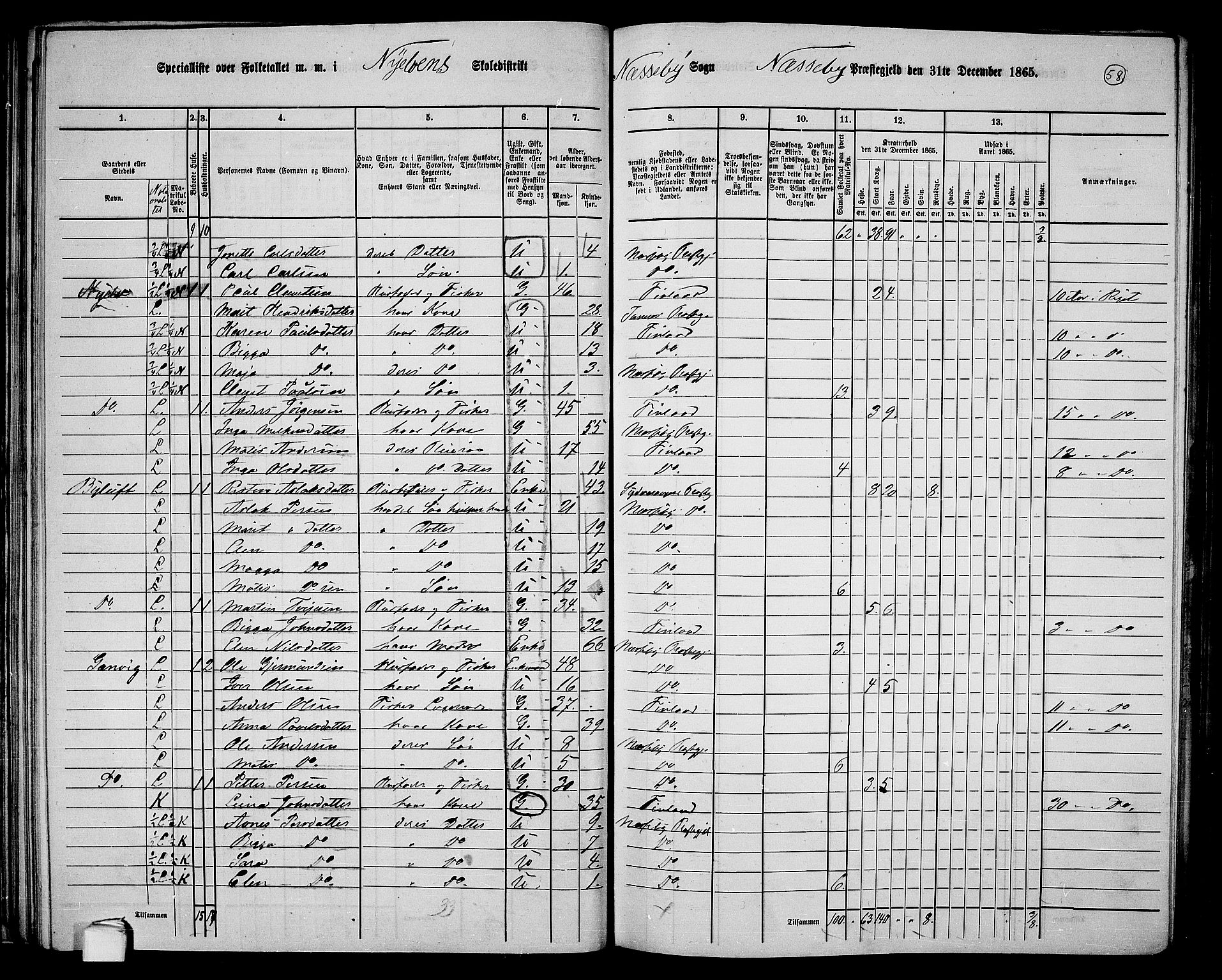 RA, 1865 census for Nesseby, 1865, p. 46
