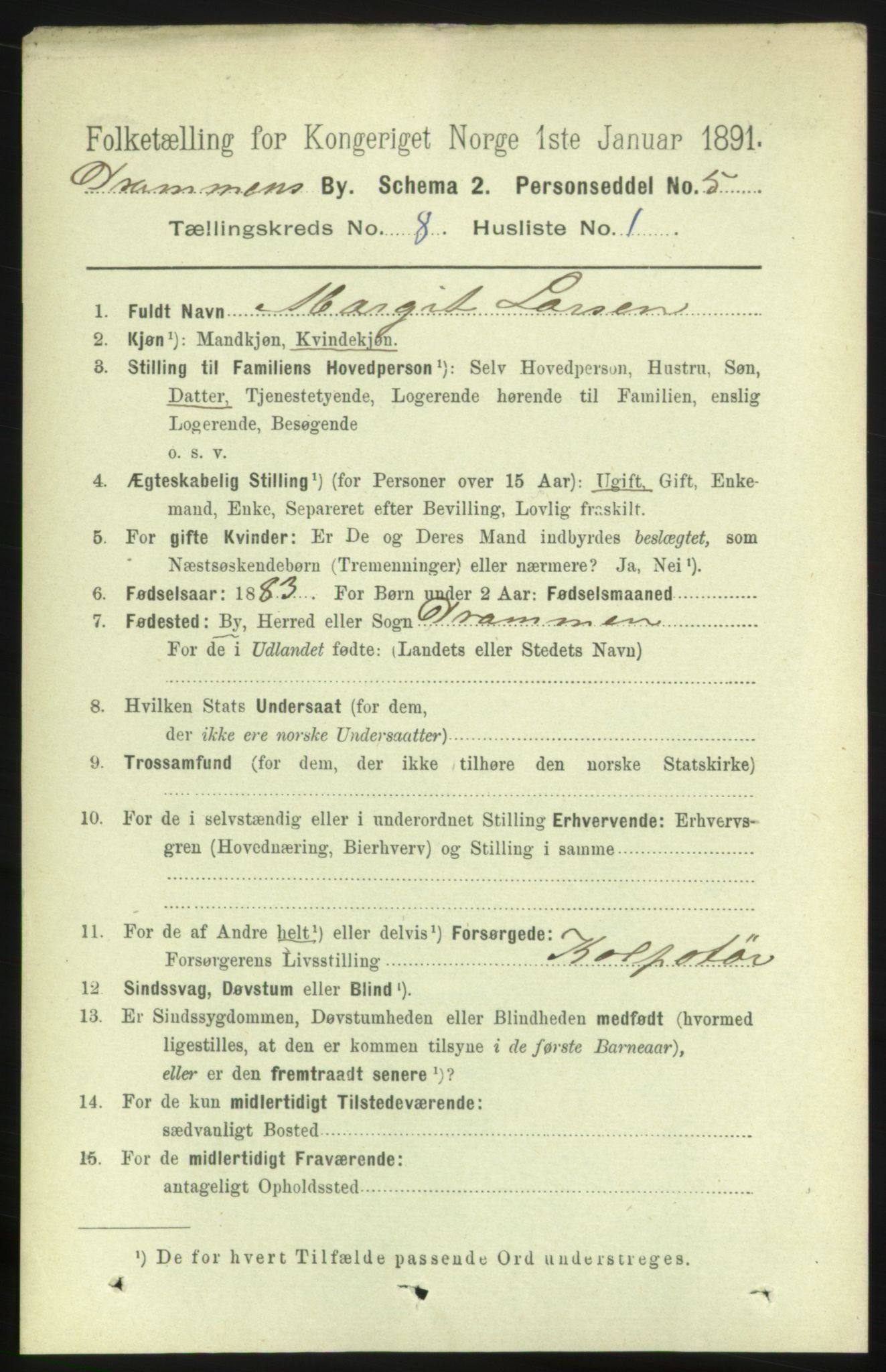 RA, 1891 census for 0602 Drammen, 1891, p. 6777