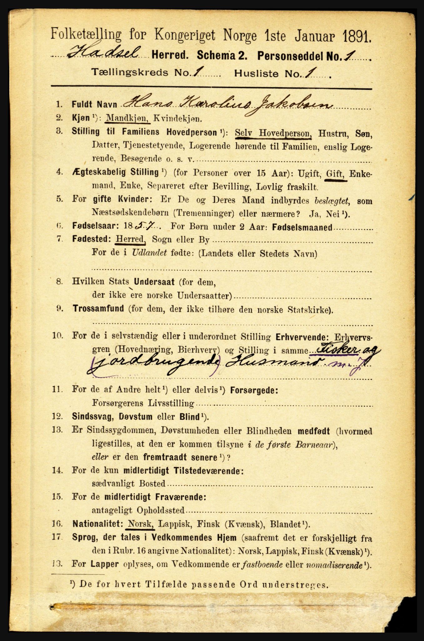 RA, 1891 census for 1866 Hadsel, 1891, p. 111