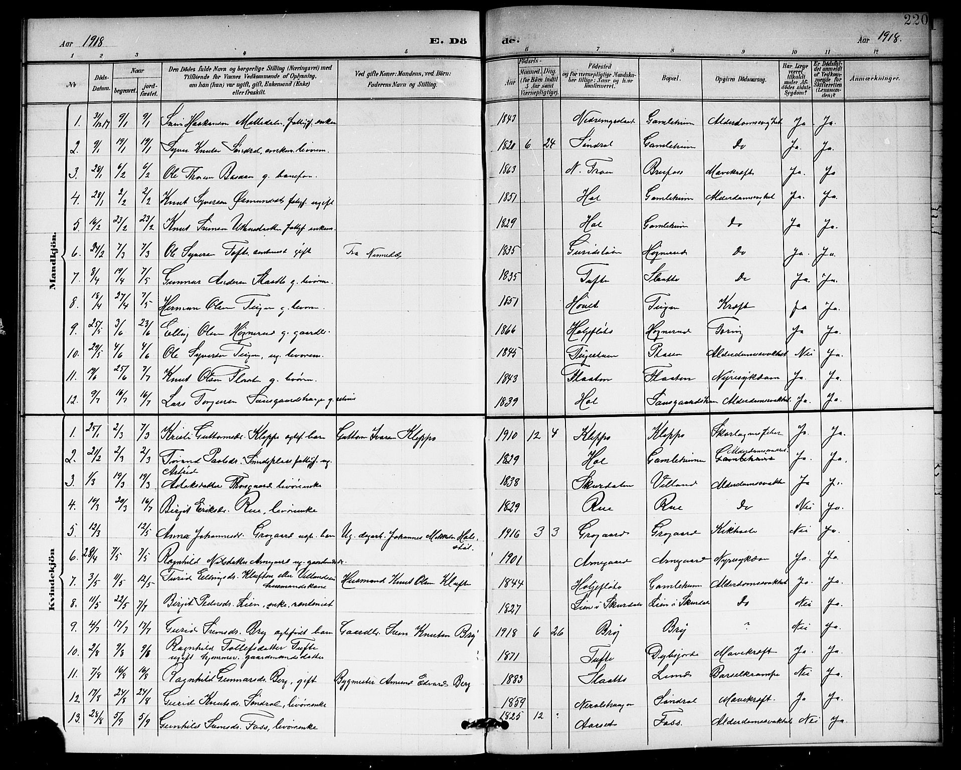 Hol kirkebøker, SAKO/A-227/G/Ga/L0001: Parish register (copy) no. I 1, 1900-1919, p. 220