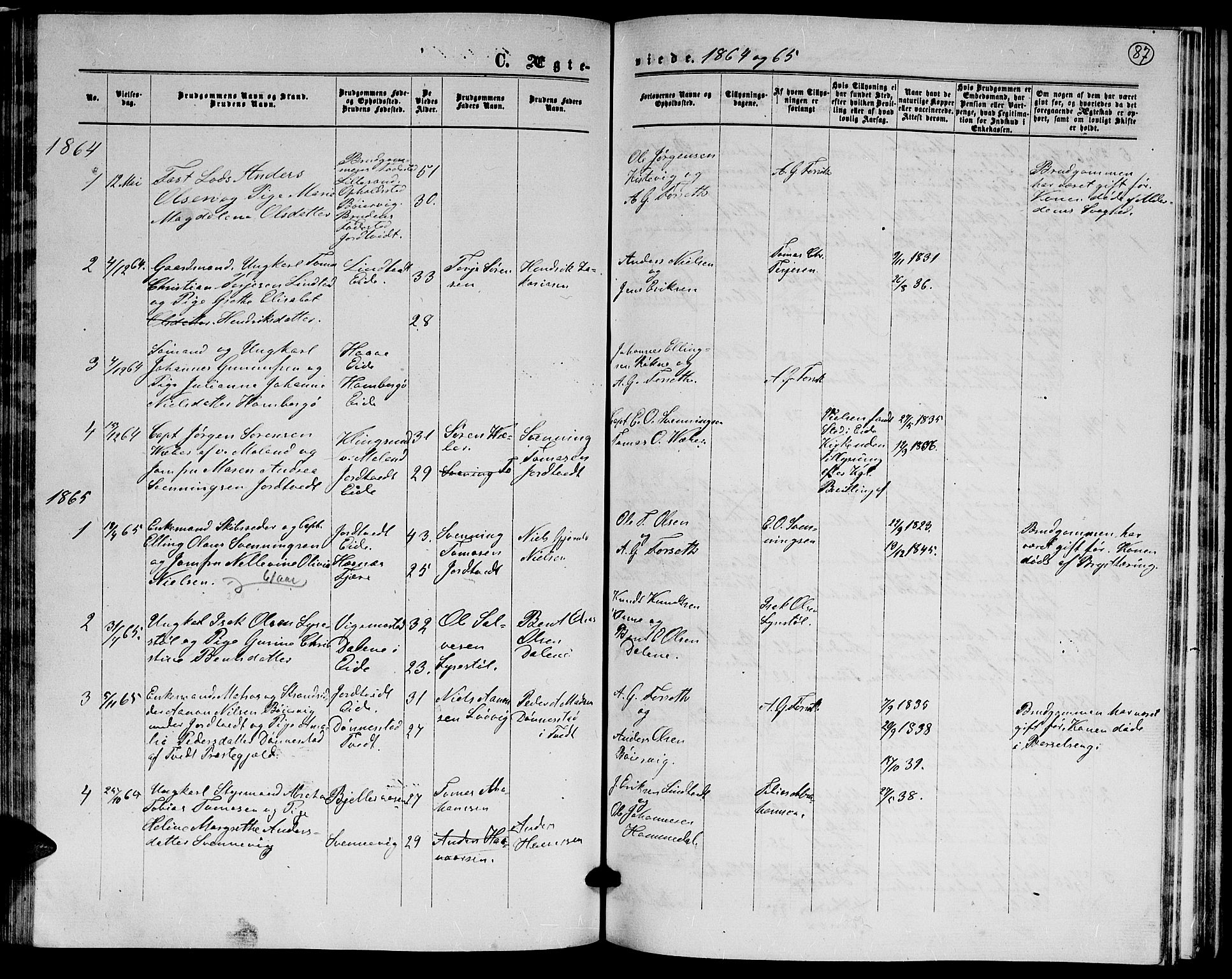 Hommedal sokneprestkontor, SAK/1111-0023/F/Fb/Fba/L0003: Parish register (copy) no. B 3, 1863-1884, p. 87