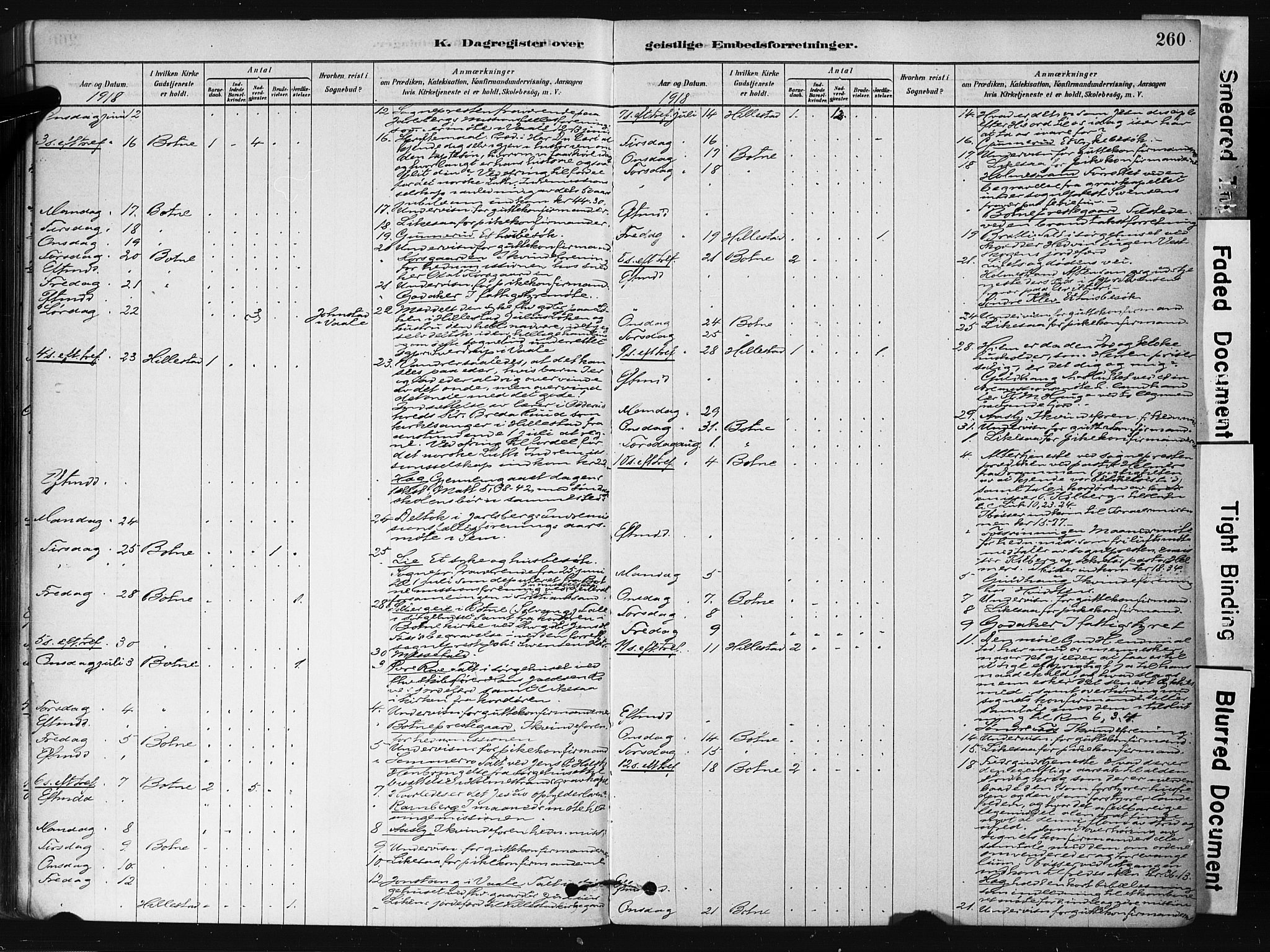 Botne kirkebøker, AV/SAKO-A-340/F/Fb/L0001: Parish register (official) no. II 1, 1878-1902, p. 260