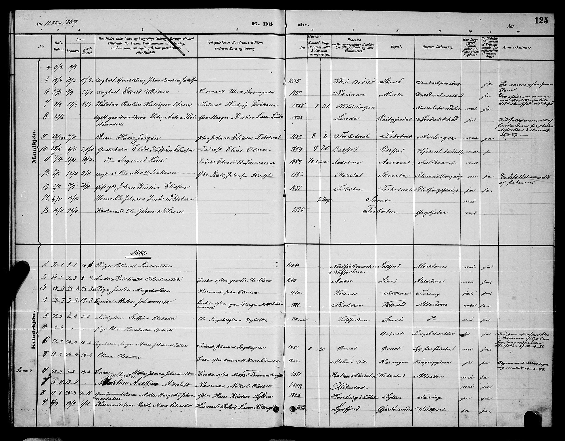 Ministerialprotokoller, klokkerbøker og fødselsregistre - Nordland, AV/SAT-A-1459/810/L0160: Parish register (copy) no. 810C03, 1884-1896, p. 125